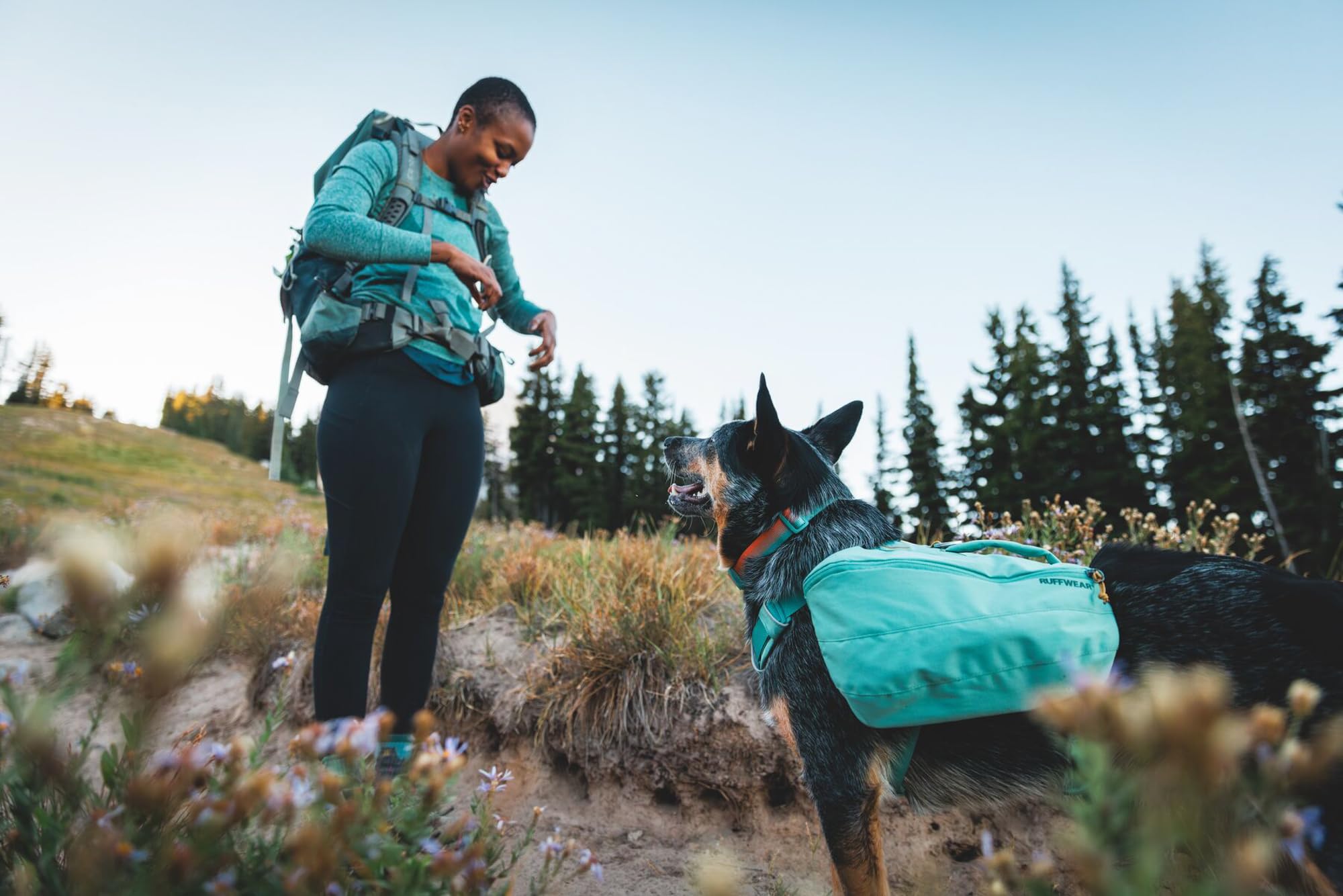 Ruffwear, Front Range Dog Collar, Durable And Comfortable Collar For Everyday Use, Blue Pool, 14''-20''