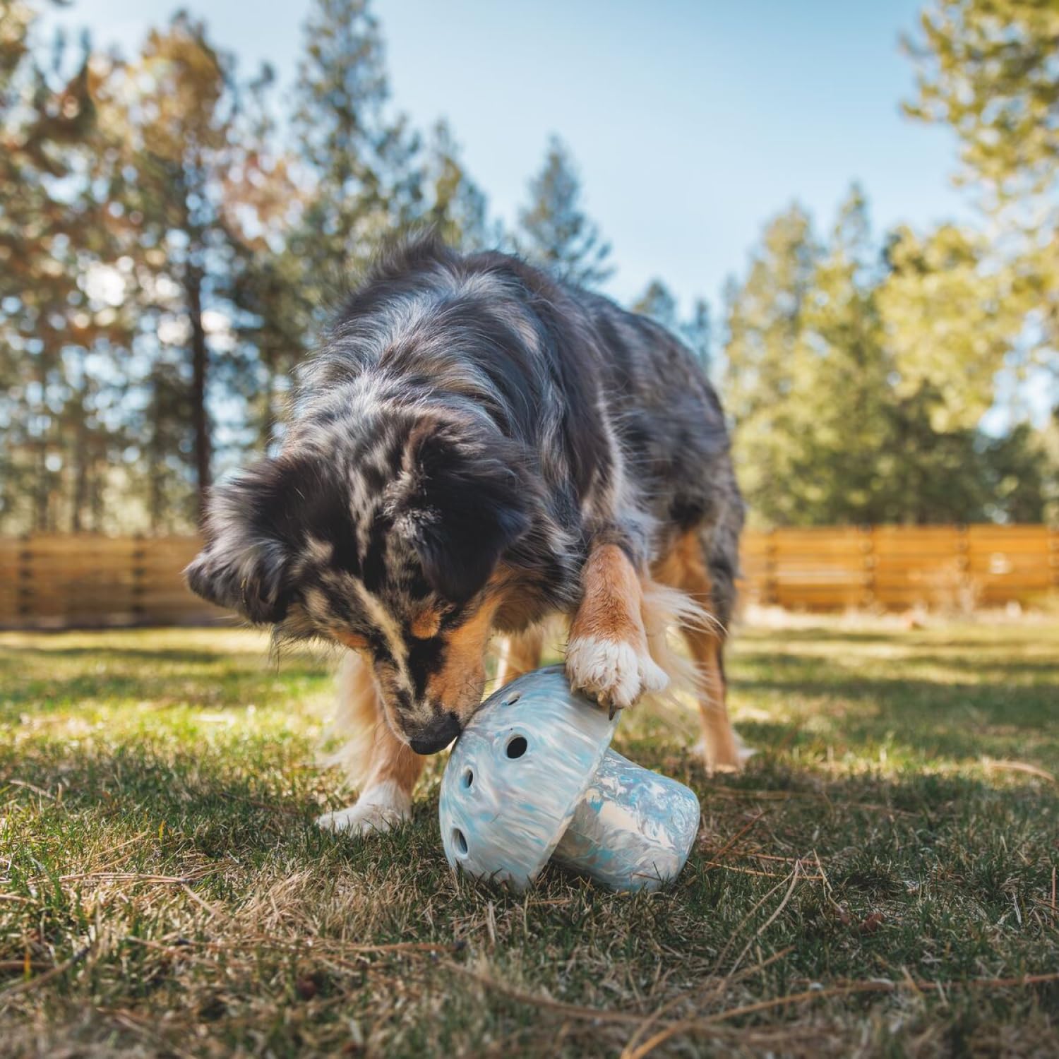 Ruffwear, Porcini Toy, Enrichment Dog Toy And Slow Feeder, Gray Sky