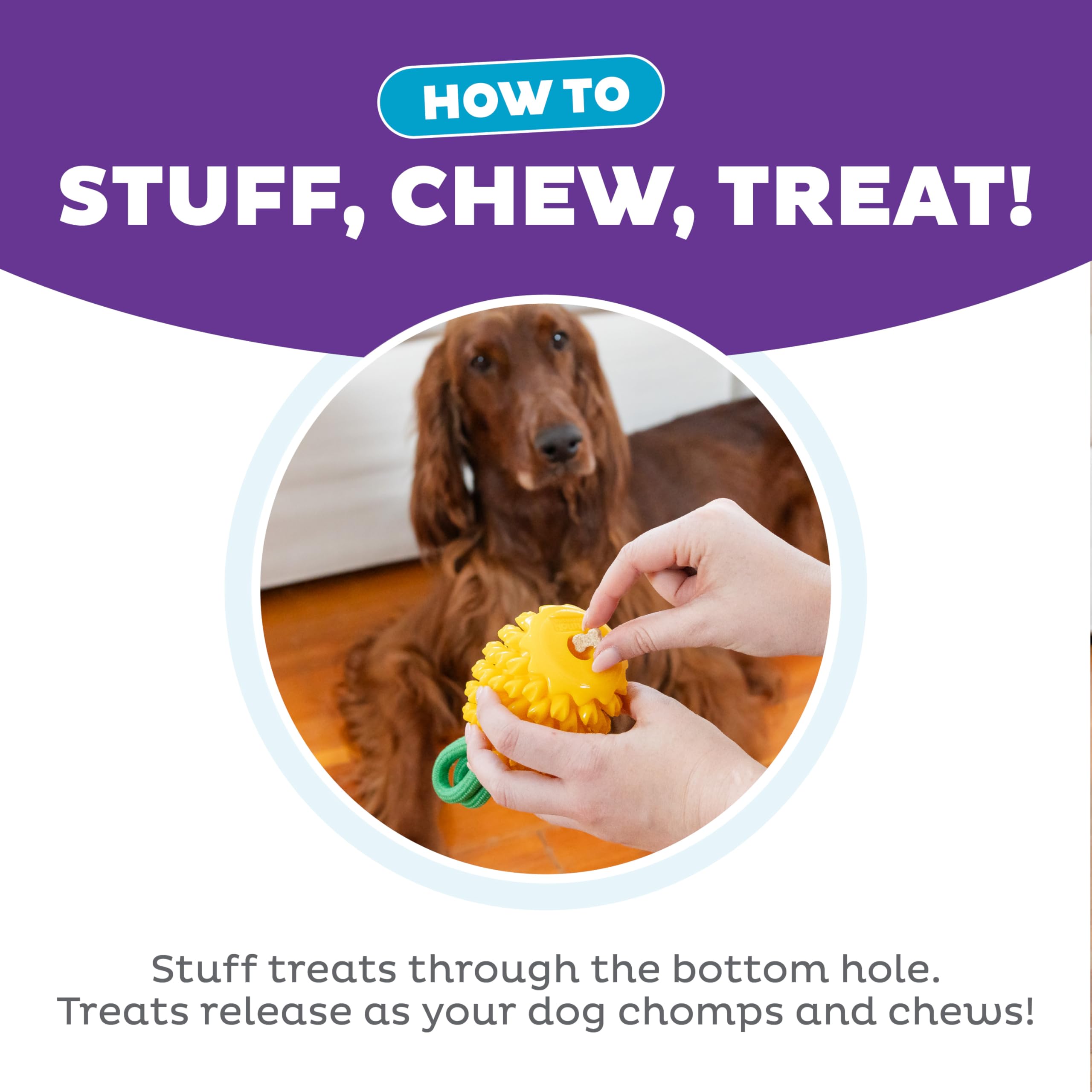 Outward Hound By Planet Dog Dental Pineapple 2-In-1 Interactive Dog Chew Toy And Treat Stuffer, Medium, Yellow