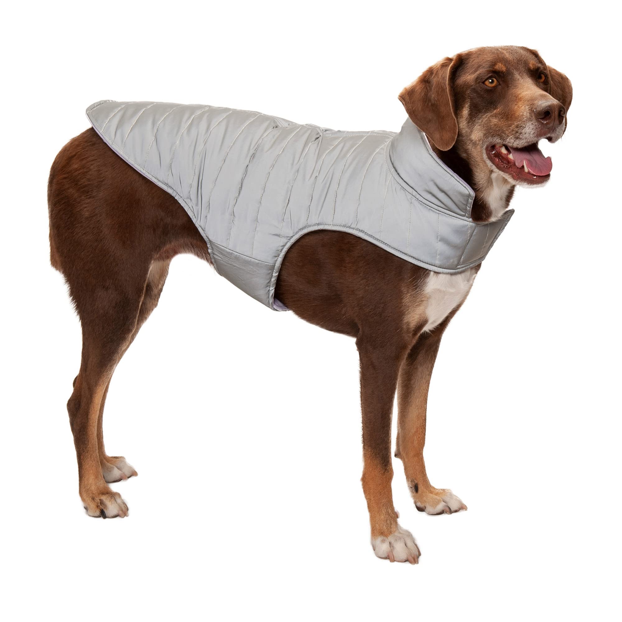 Furhaven Water-Repellent & Reversible Large Dog Coat, Washable & Reflective w/ Leash Access, Pocket, & Carry-On Purse - Puffer D