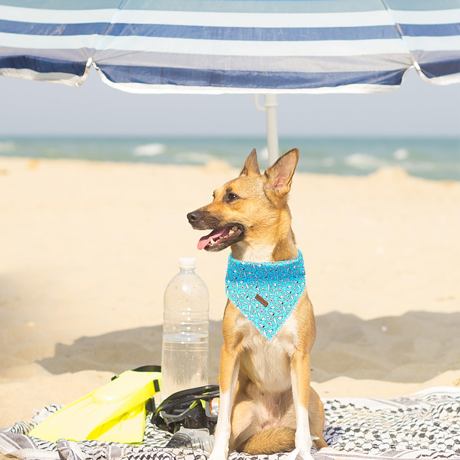 Lionheart Glory Bandana - Washable Soft Blue Scarf With Shark Print, Adjustable For Small Medium Large Dogs