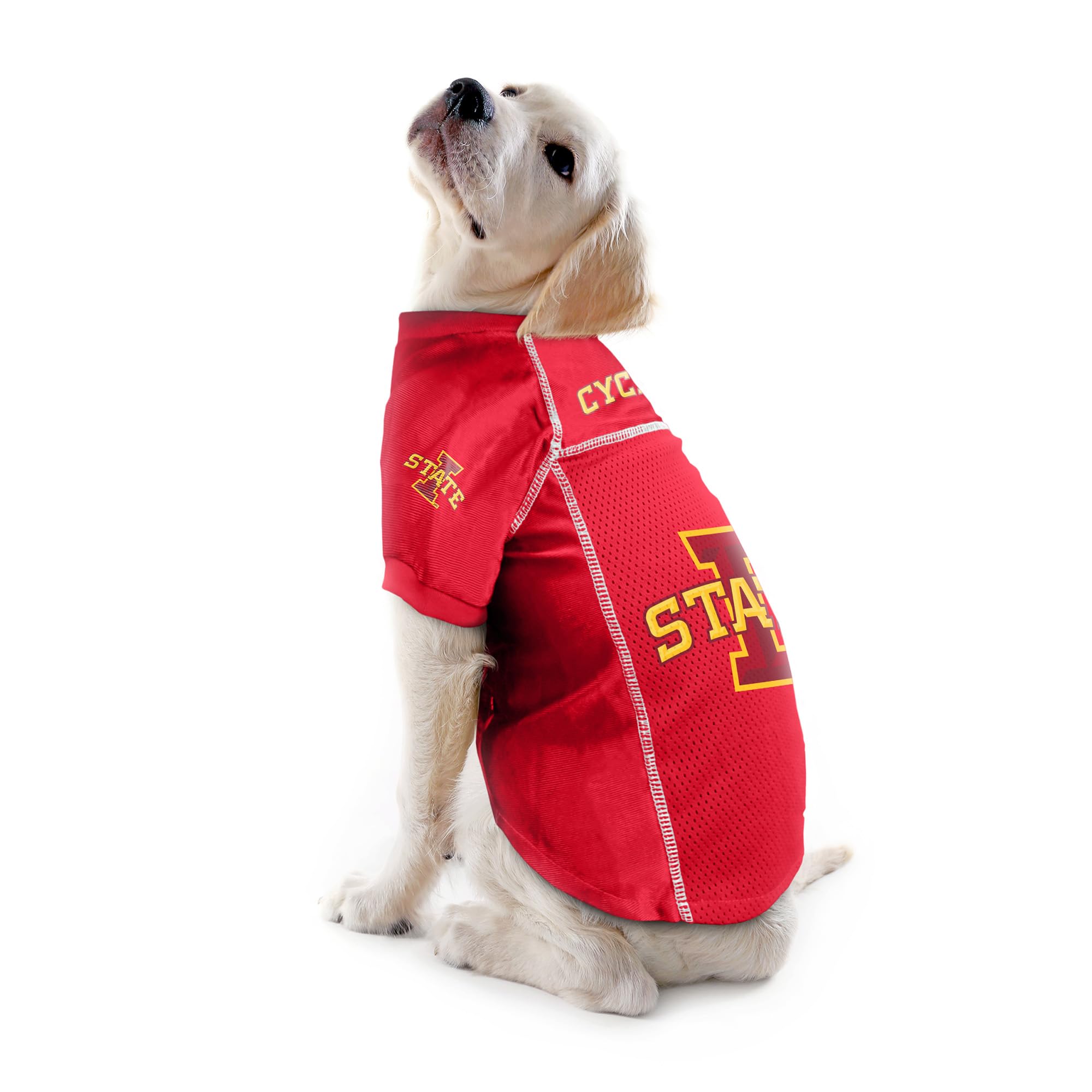 Littlearth Iowa State Cyclones Ncaa Basic Pet Jersey