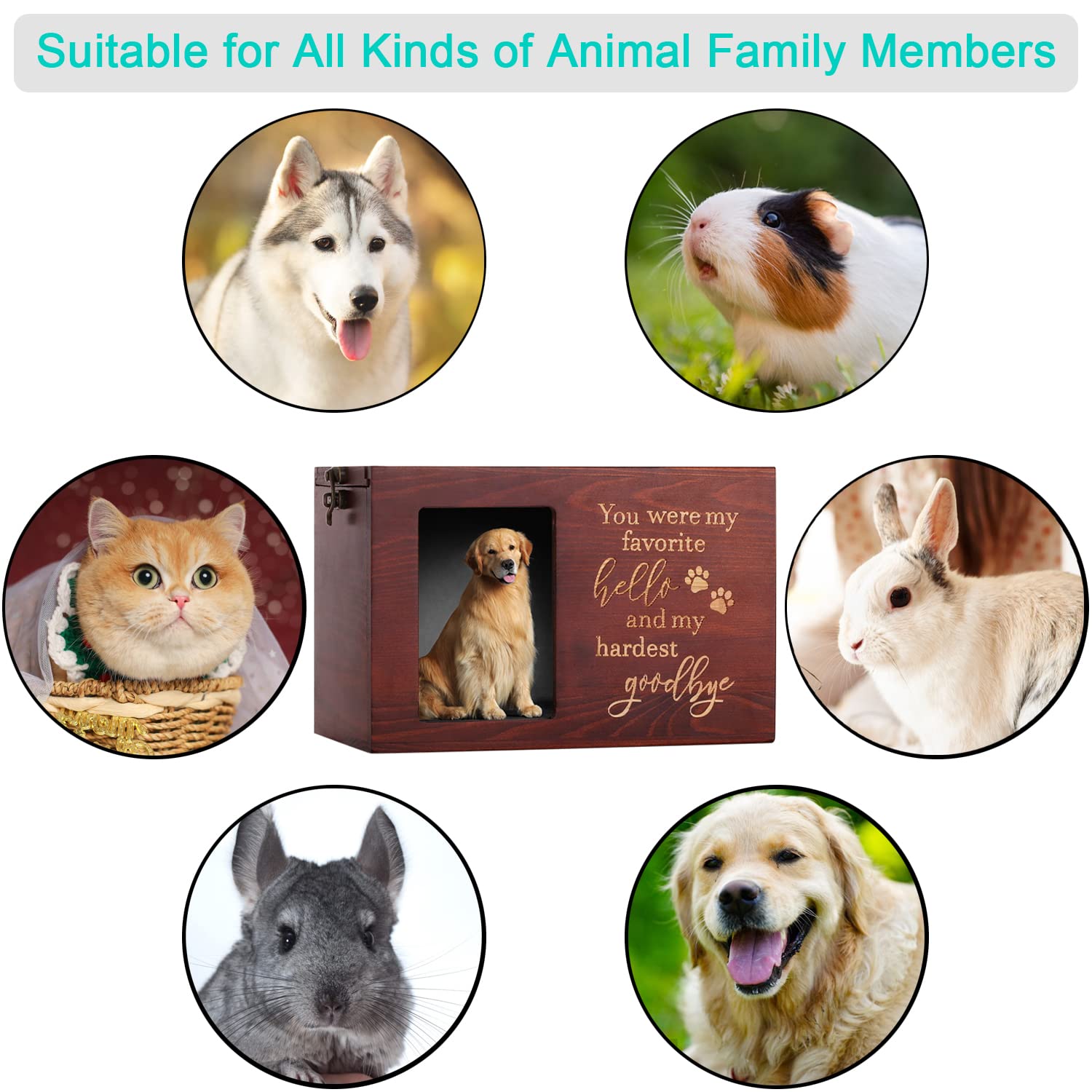 DGDCDV Pet Memorial Urns for Dog/Cat Ashes, Large Wooden Keepsake Box, XLarge, Nature Color, Model DGDCDV011