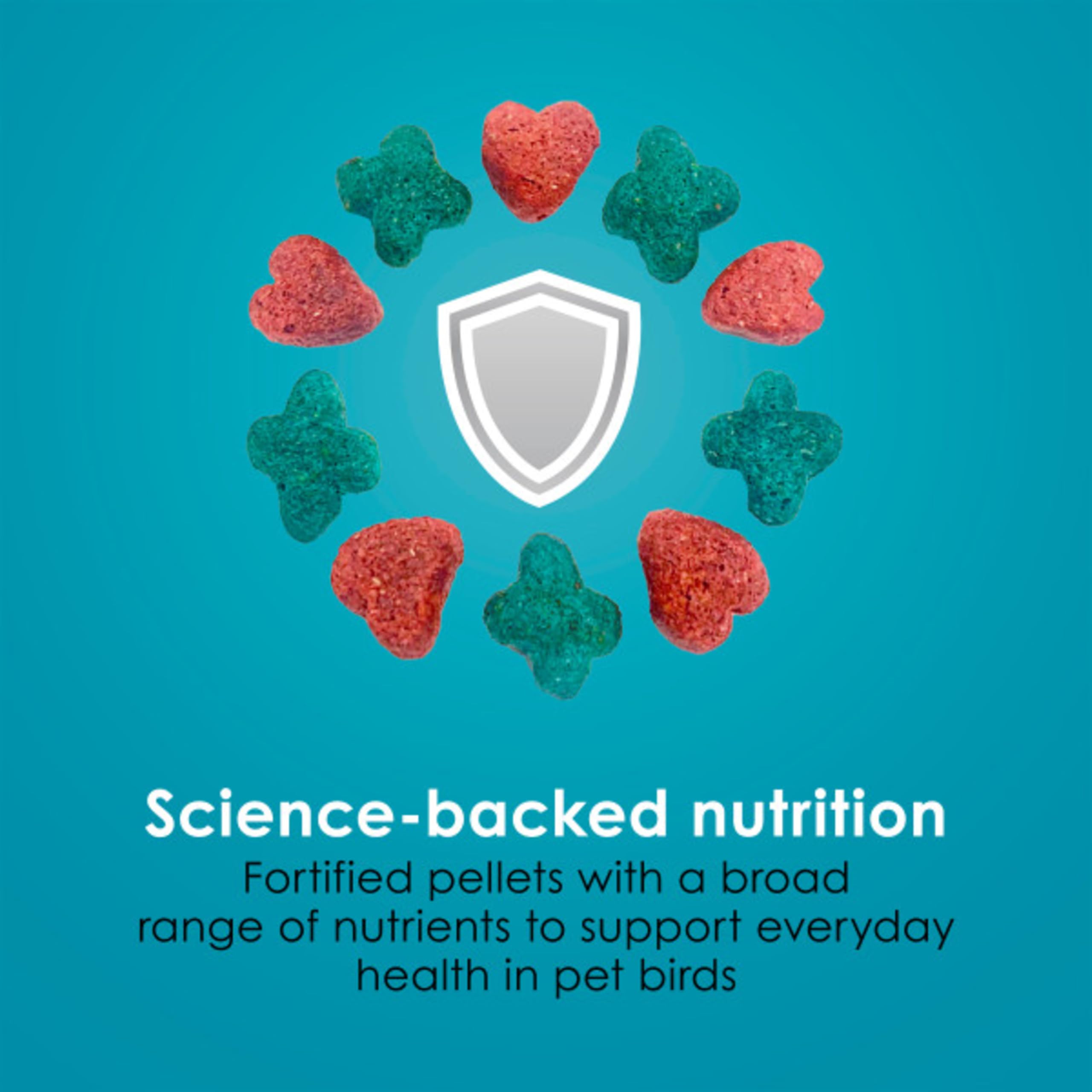 Kaytee Forti-Diet Pro Health Feather Health Parrot Food 5lb