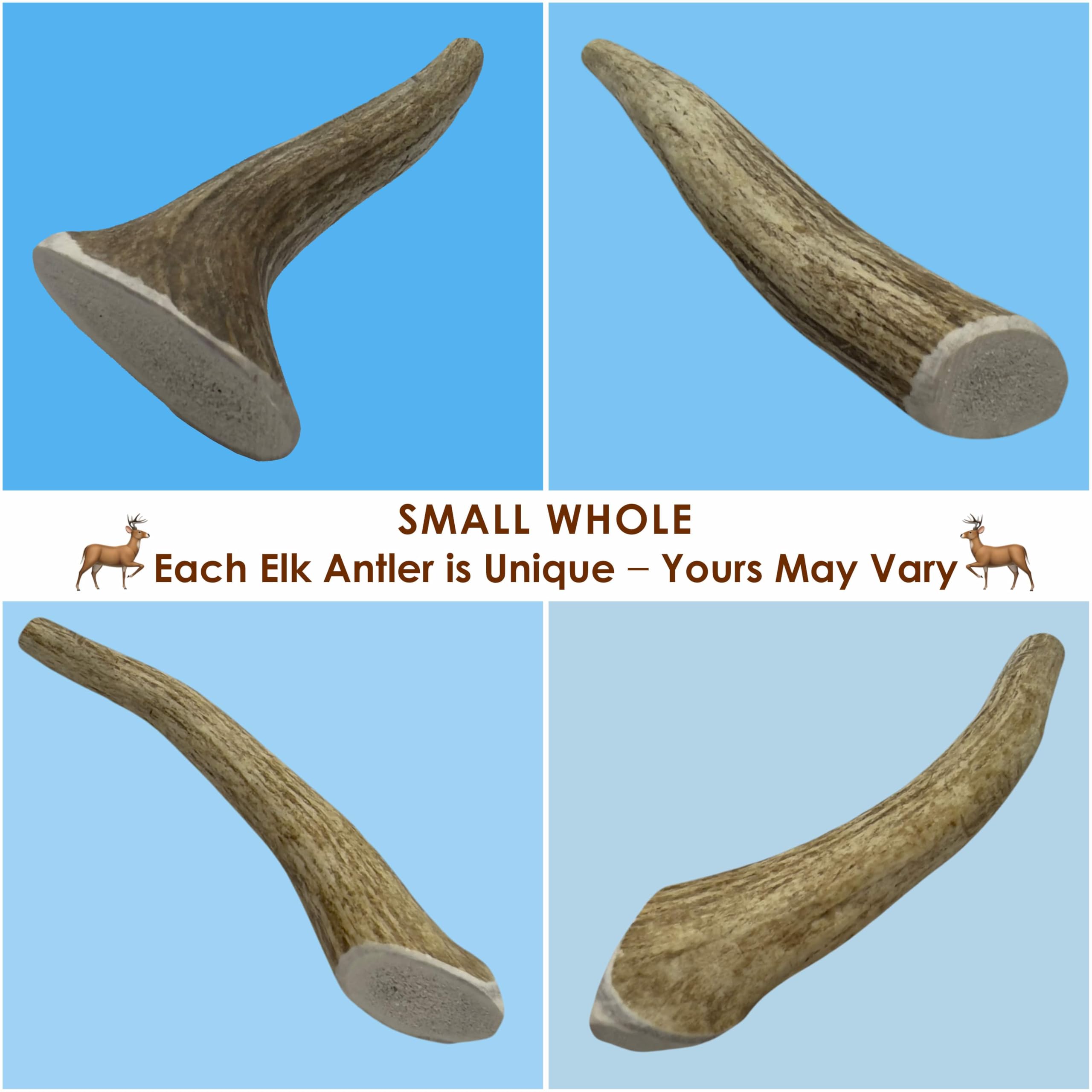 Deluxe Naturals 6-Pack Small Whole Elk Antler Dog Chews (5 to 7+ in) - Long Lasting Natural Dog Chew Bones for Small Dogs Under