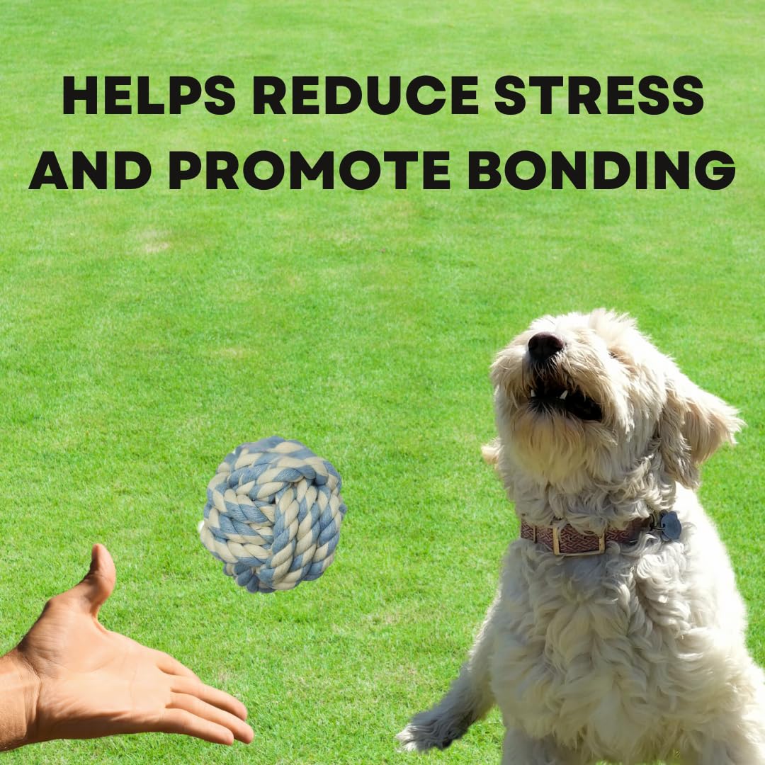 Otterly Pets Dog Toys For Medium Breed Dogs Rope Dog Ball Aggressive Chewers Cotton Balls Outdoor And Indoor Play (4-Pack)