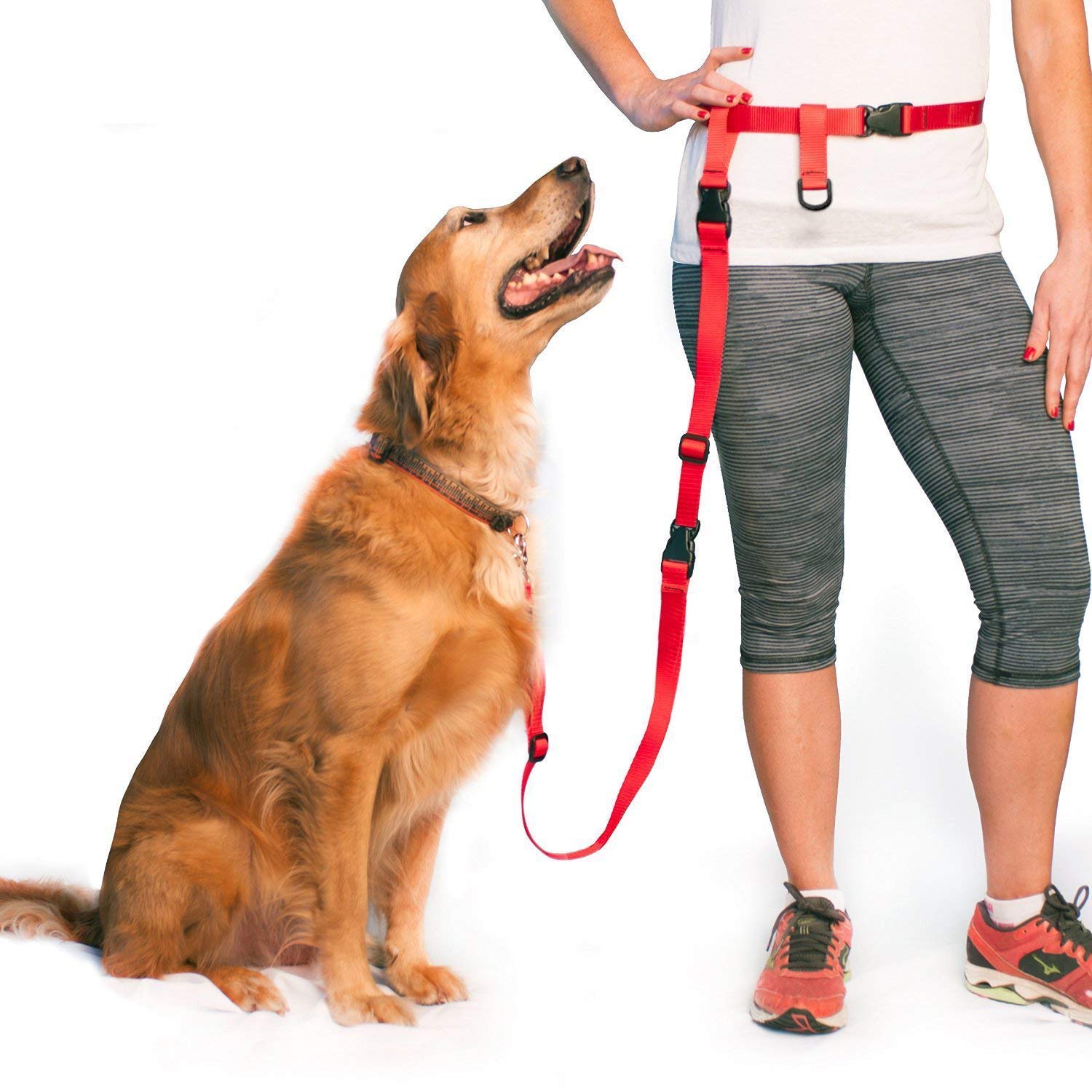The Buddy System Accessories For Our Dog Leashes Made In Usa (Extender, Regular Dog Red)