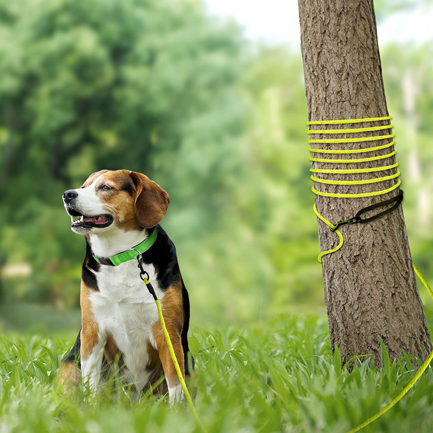 Joytale Long Dog Training Leash, 15 Ft Tie Out Rope Check Cord Dogs Leashes With Padded Handle, Reflective Recall Lead For Puppy And Small Dogs, Yellow
