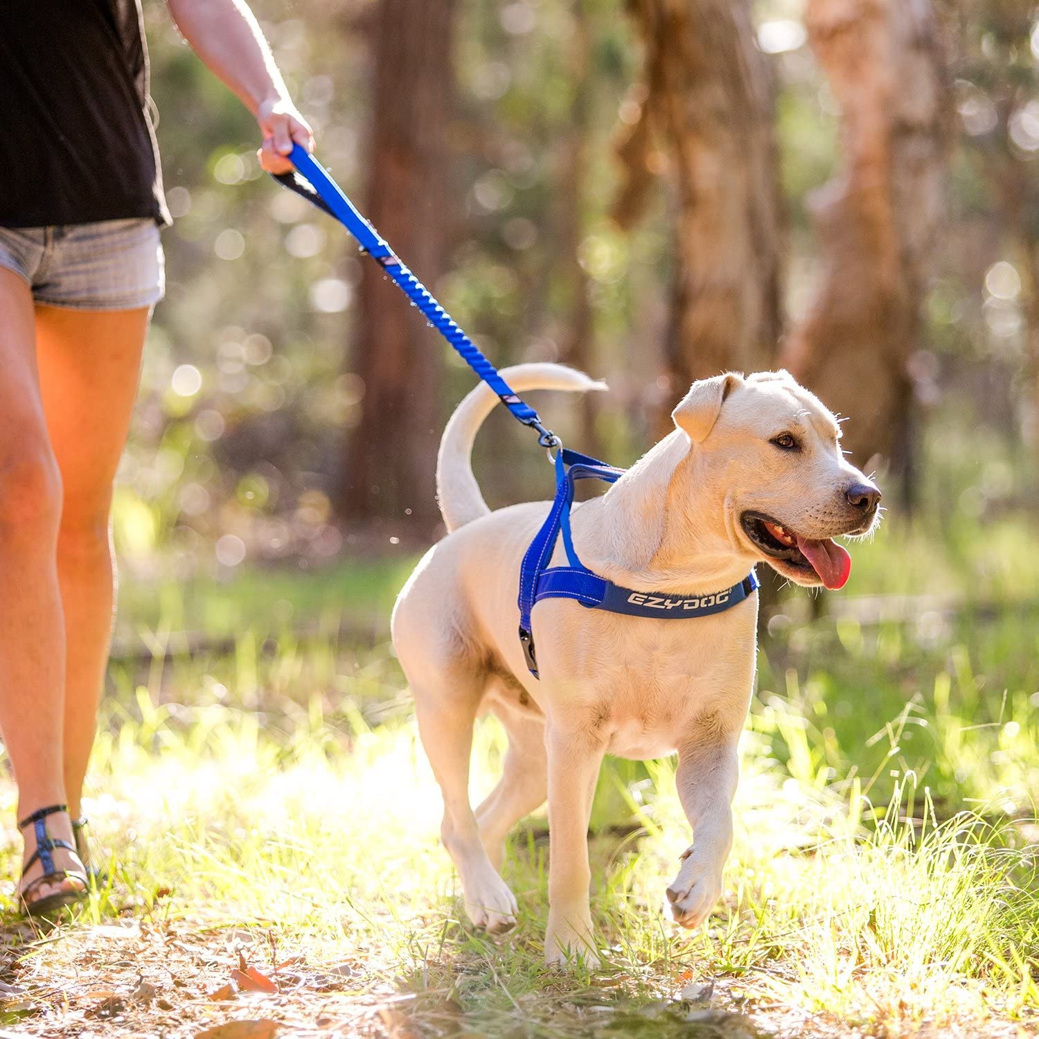Ezydog Zero Shock Dog Leash - Shock Absorbing Bungee Leash For Dogs That Pull Or Excite - Dual Handle And Reflective For Large, Medium, Or Small Dogs (48-Inch, Orange)