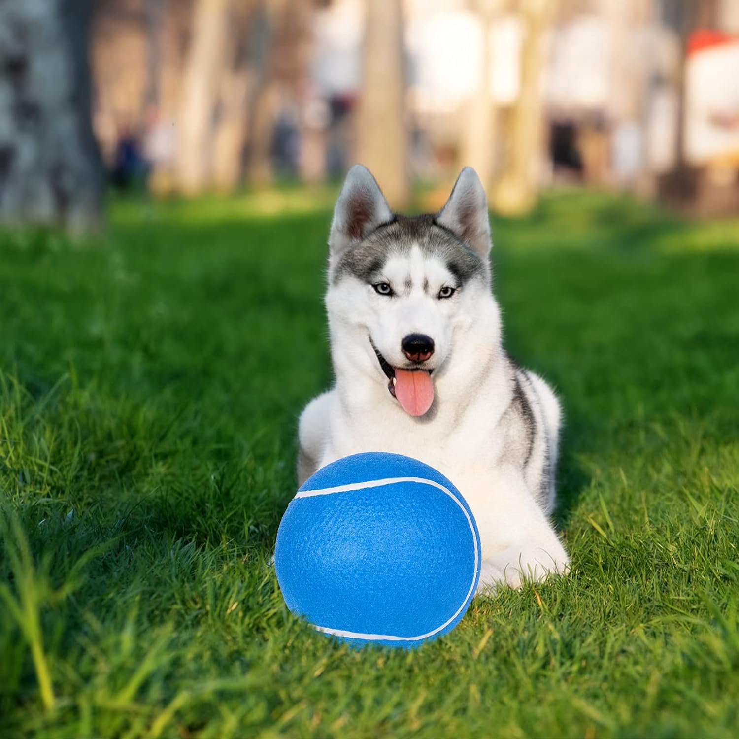 Expawlorer Dog Toy Ball-9.5''Giant Tennis Balls For Dogs, Christmas Dog Toy Balls, Interactive Large Tennis Balls For Dogs With Inflating Needles For Training Playing Sports