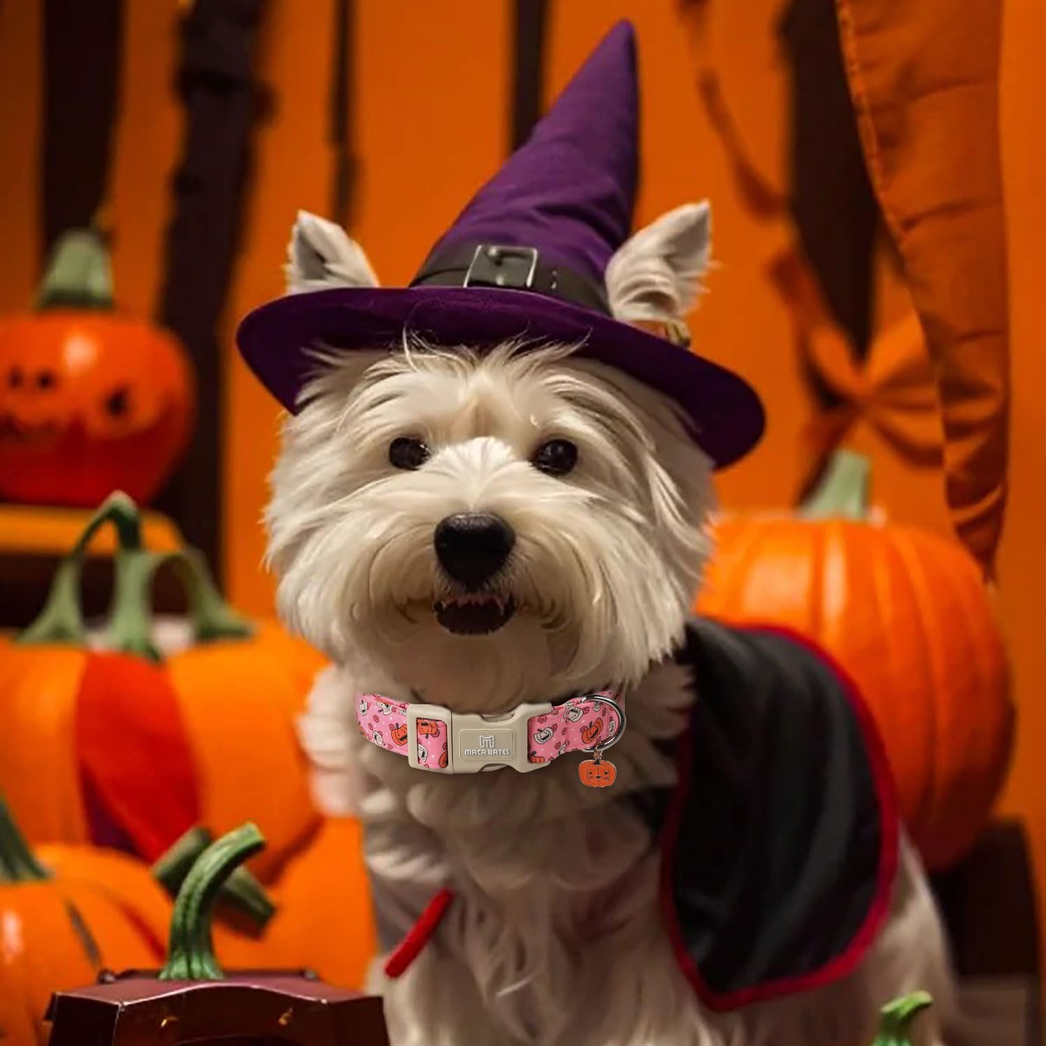 Maca Bates Halloween Pink Cute Pumpkin Dog Collar Puppy Collars Durable Comfortable Adjustable Birthday Gift For Xs Small Medium