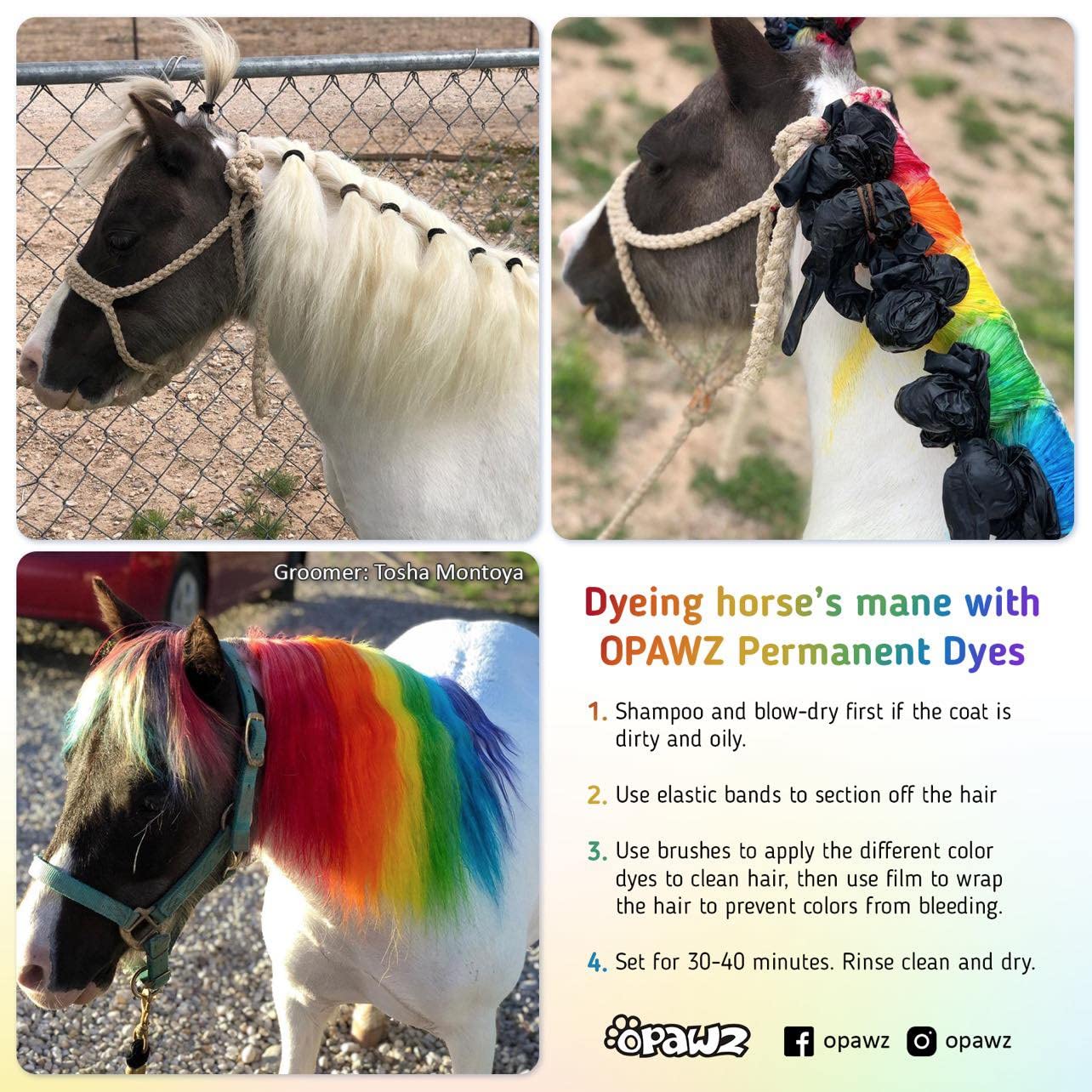 Opawz Permanent Dog Hair Dye, Pet Hair Dye Safely Used By Grooming Salons For A Decade, Pet Safe Dye Lasts Over 20 Washes, Brigh