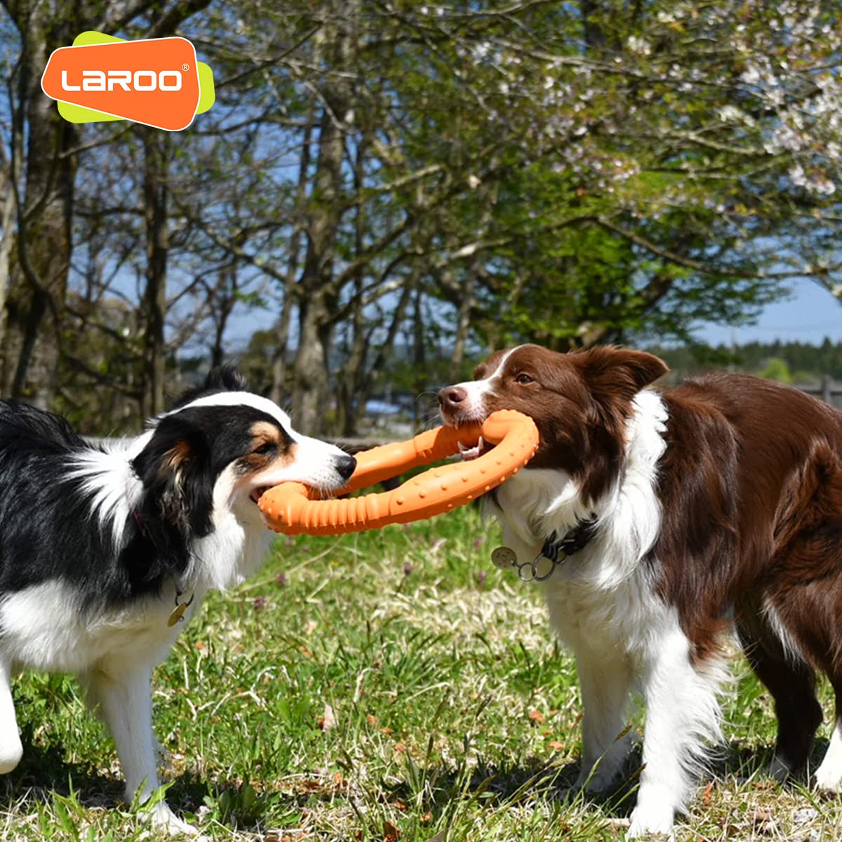 LaRoo Dog Flying Ring Toys, Floating Flying Dog Disc Toys, Summer Pet Training Outdoor Durable Chew Toys for Medium and Large Do
