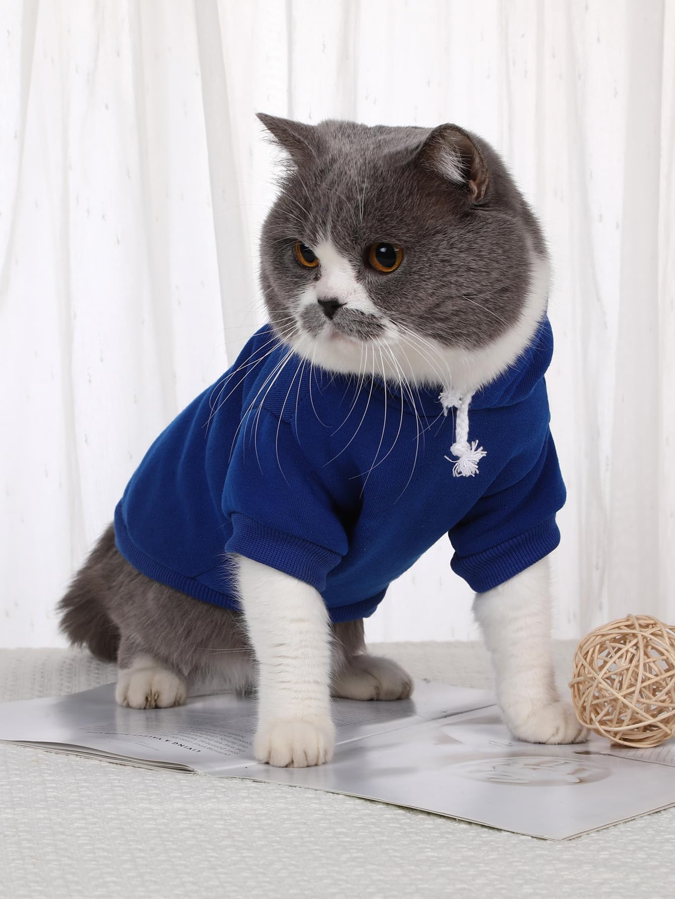 QWEEE Basic Dog & Cat Hoodie, Warm Jacket & Shirt for Puppy to Medium Sizes, Royal Blue XS