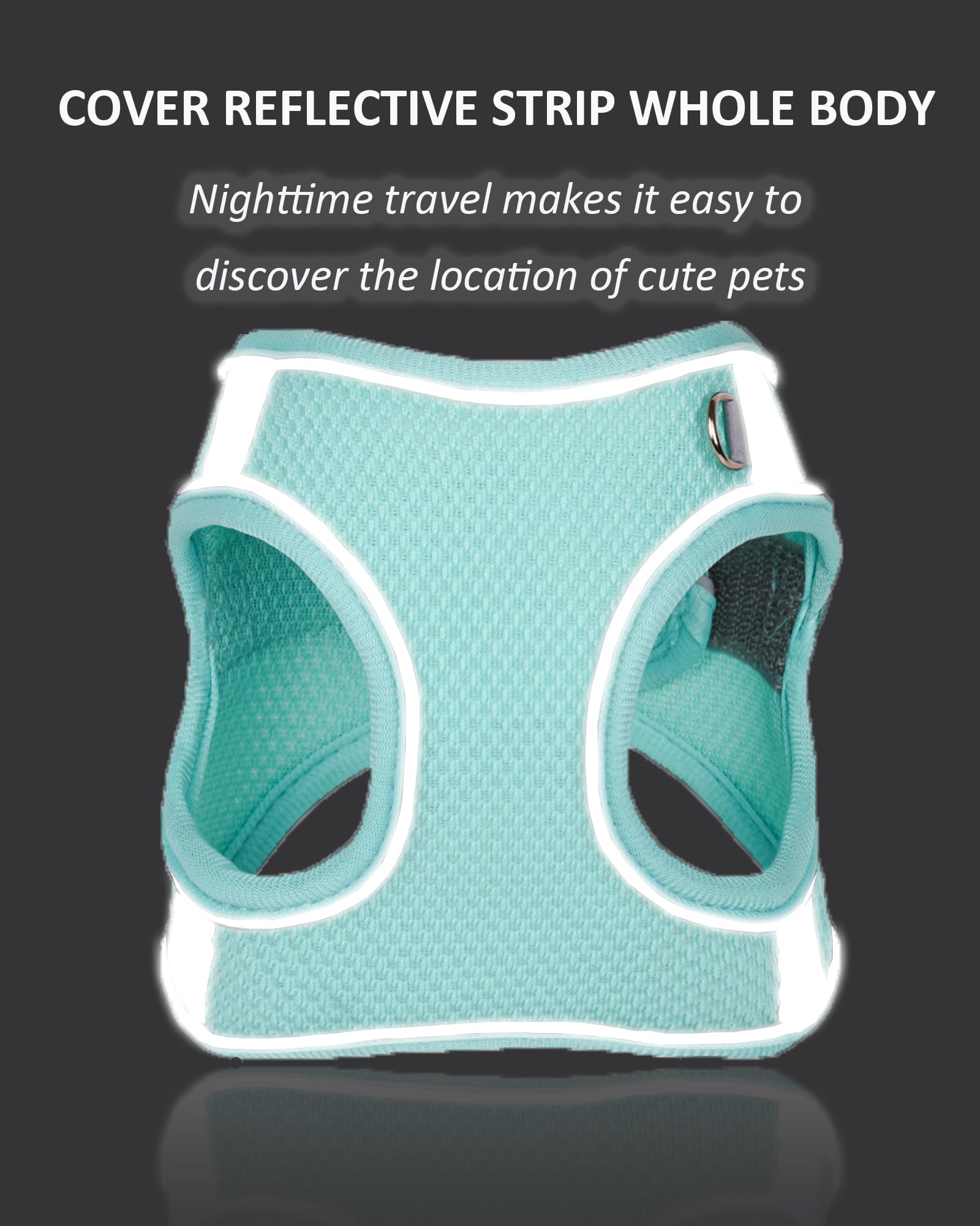Solmoony Dog Harness And Leash Set For Small Medium Dogs - No Pull, Step-In, Mesh Puppy Harness (Blue, M)