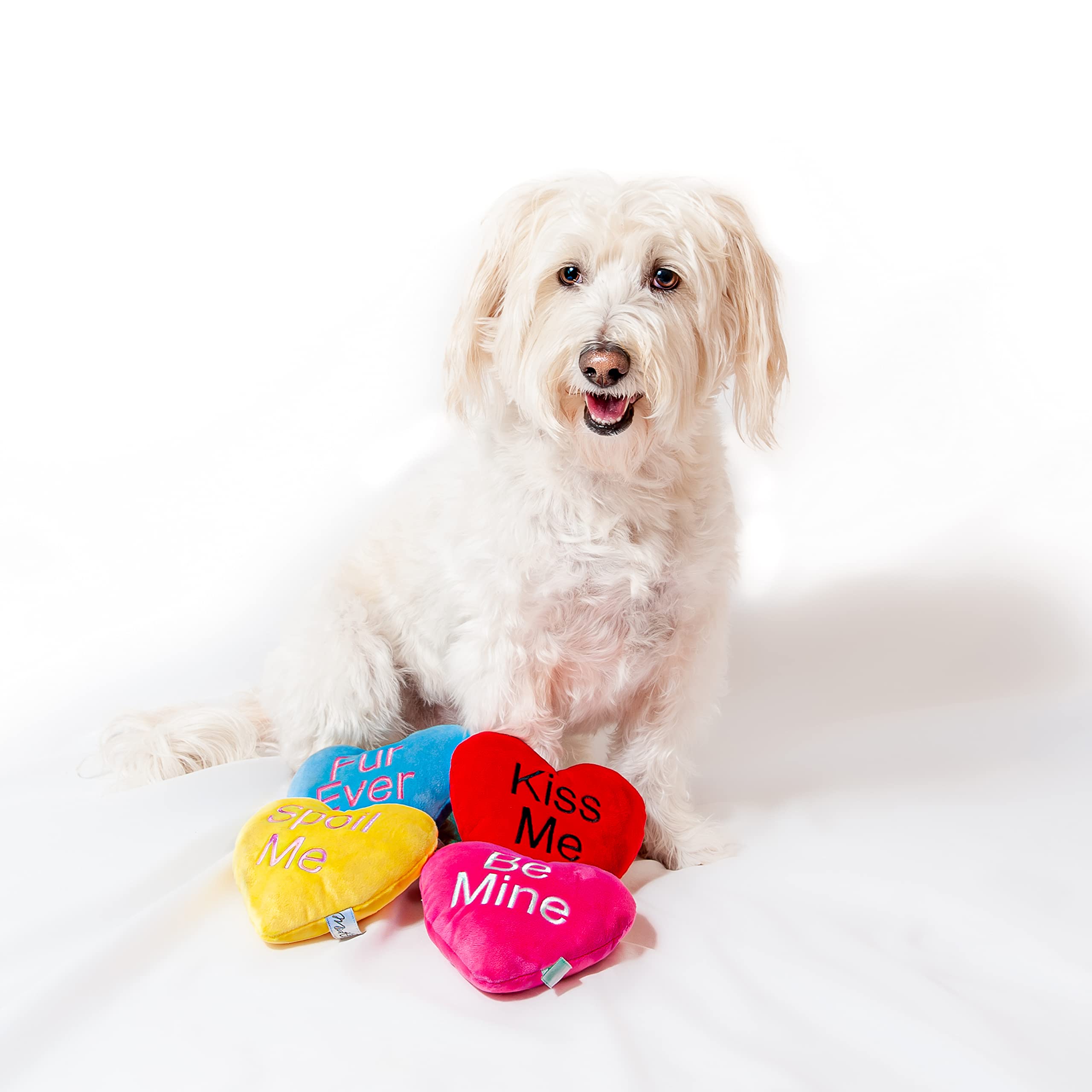 Midlee Candy Heart Valentines Dog Toy- Set of 4- Large- Conversation Plush Squeaky Present