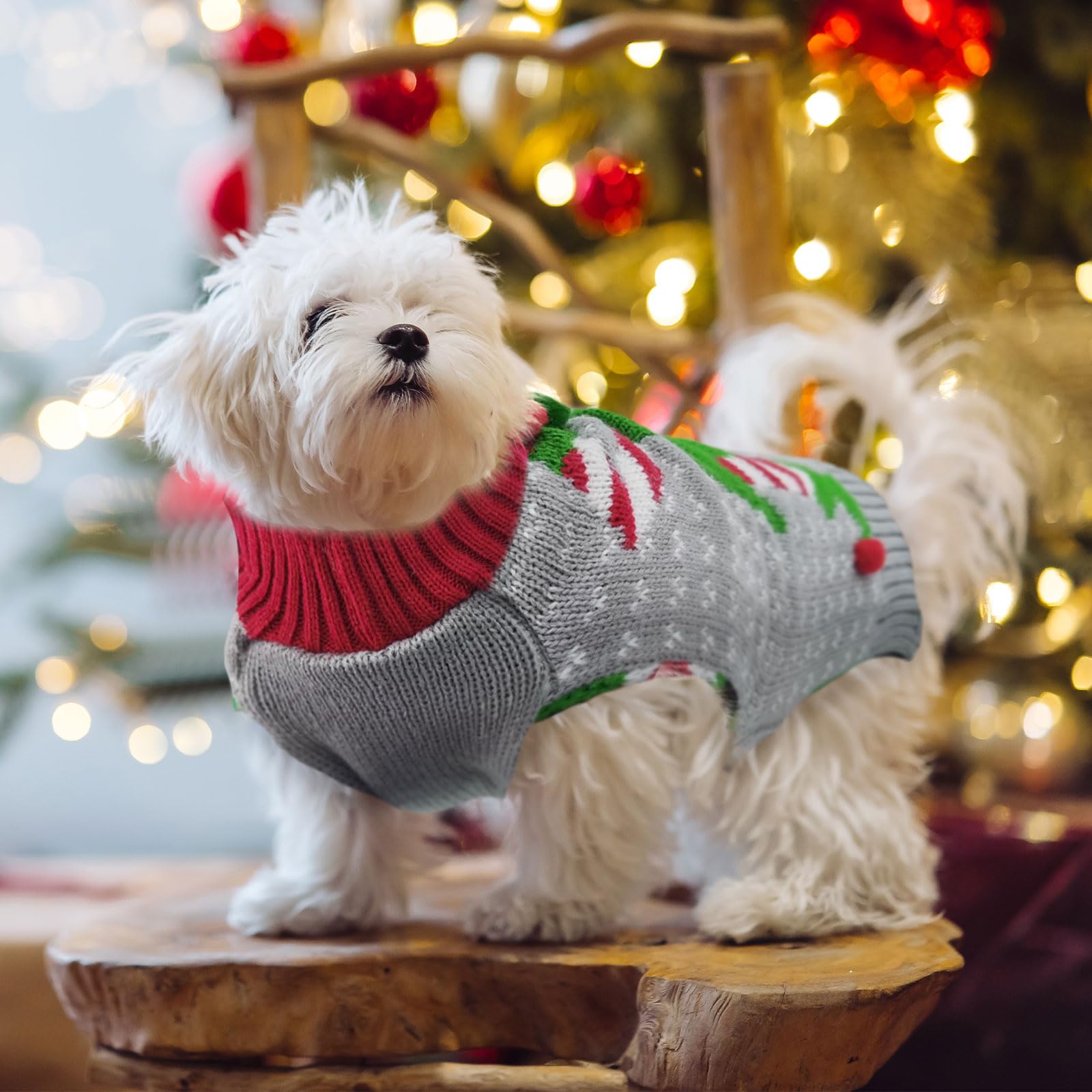 Doggyzstyle Dog Cat Ugly Christmas Sweater Boy Girl Xmas Pet Clothes Holiday Puppy Costume New Year Gifts For Small Medium Large