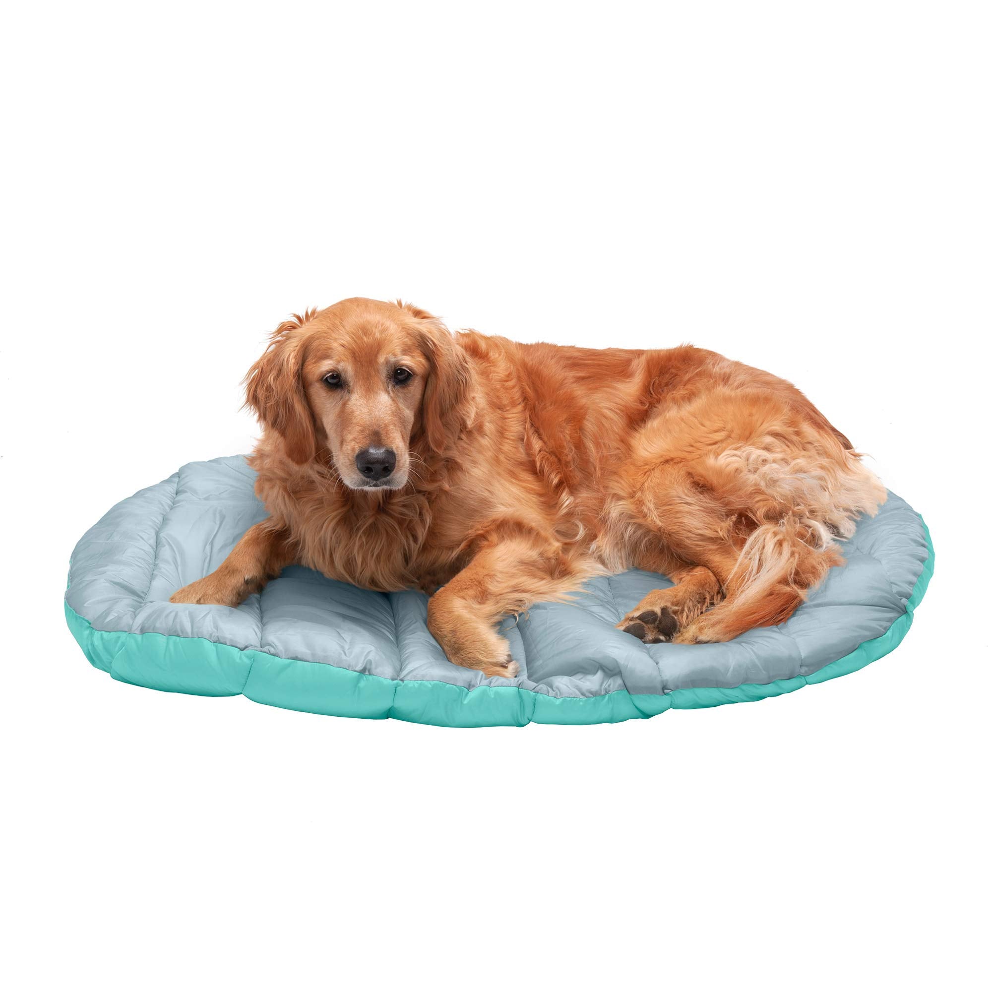 Furhaven Outdoor Travel Dog Bed For Large/Medium Dogs W/ Carry Bag, Washable & Foldable, Great For Crates & Kennels - Trail Pup Travel Pillow Mat W/ Stuff Sack Bag - Aqua/Granite Gray, Large