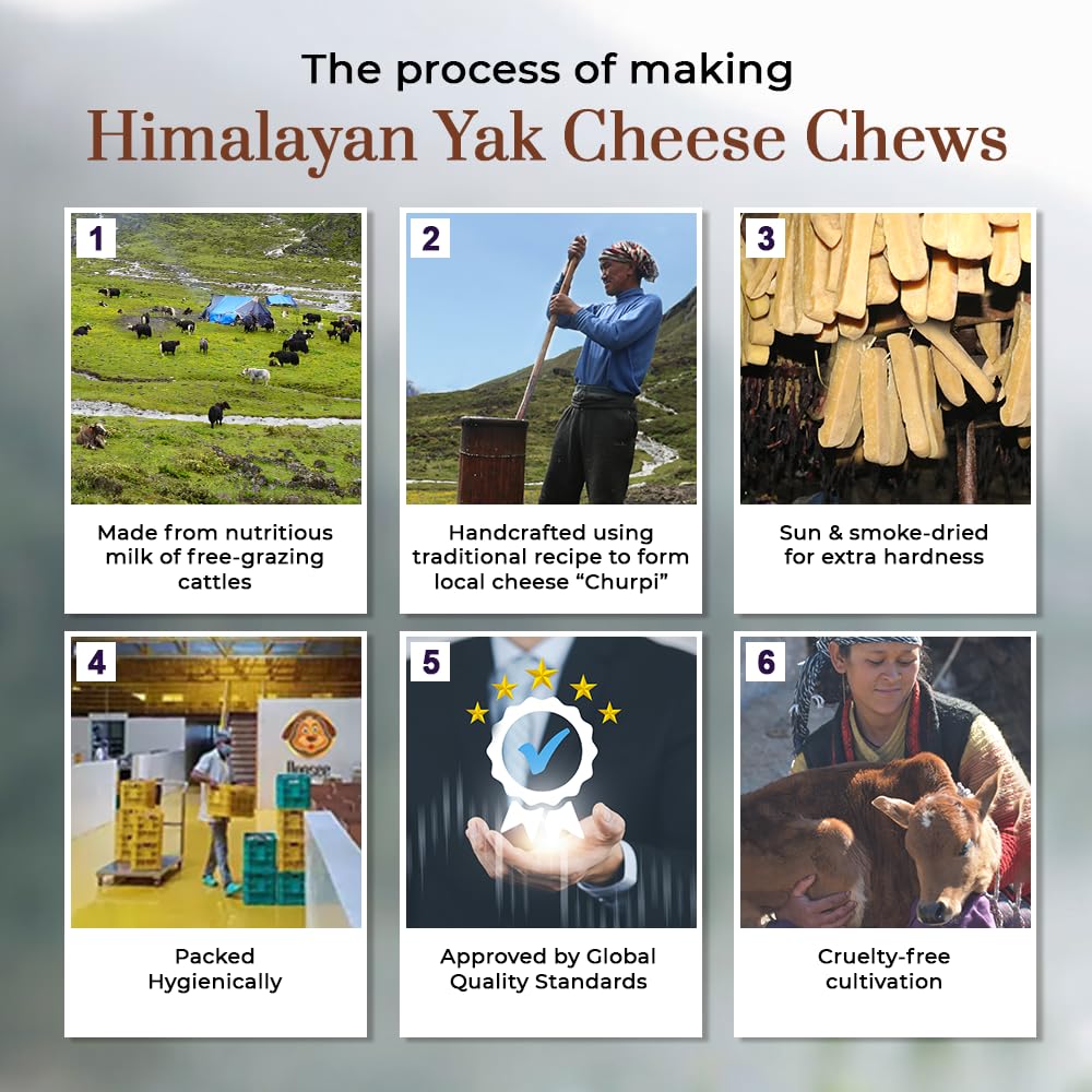 Dogsee Chews Small 100% Natural Himalayan Yak Chews  Smoke Dried  Long Lasting Healthy Treats for Active Chewers  Helps Fight Pl