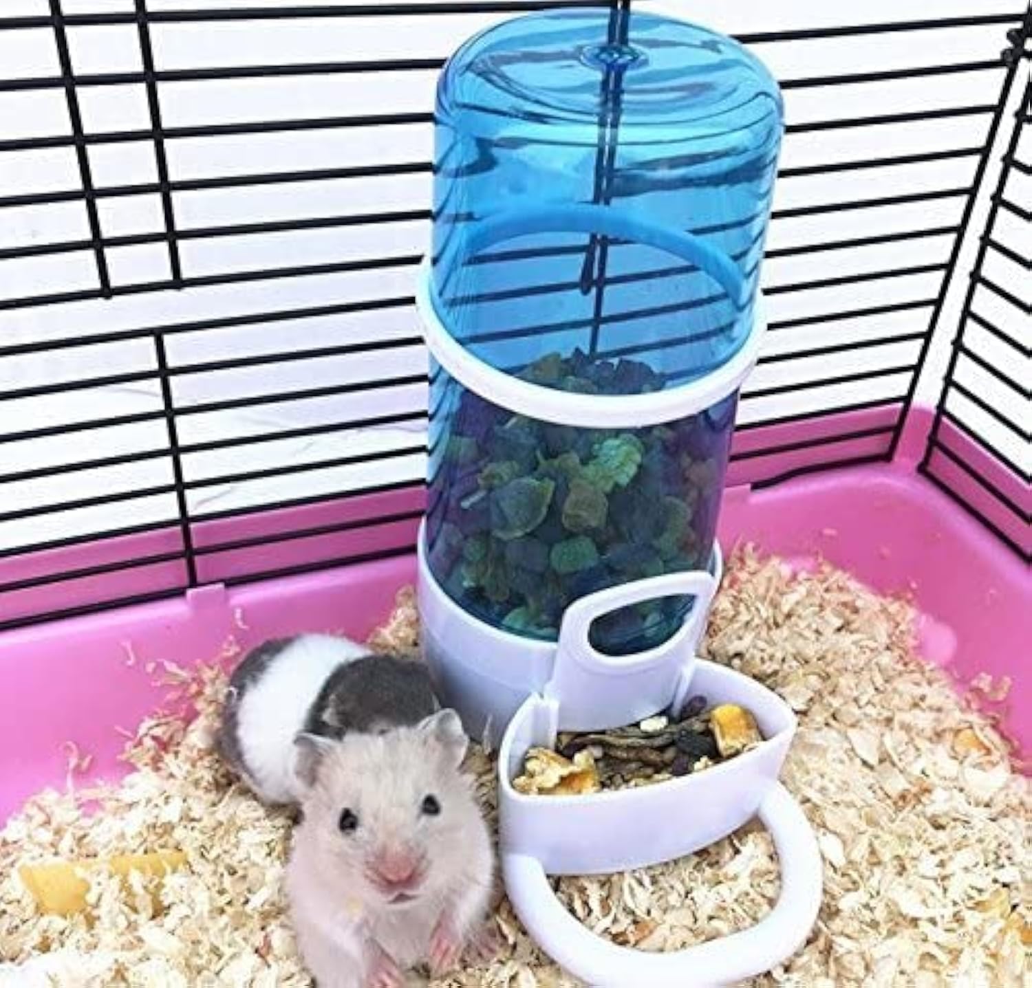 Old Tjikko Pet Feeder Automatic,Bird Hamster Small Animal Feeder, Automatic Feeding Device Dispenser For Hamster Bird Pigeon Parrots Mini Hedgehog With Holder (5.90X2.83X6.10In)