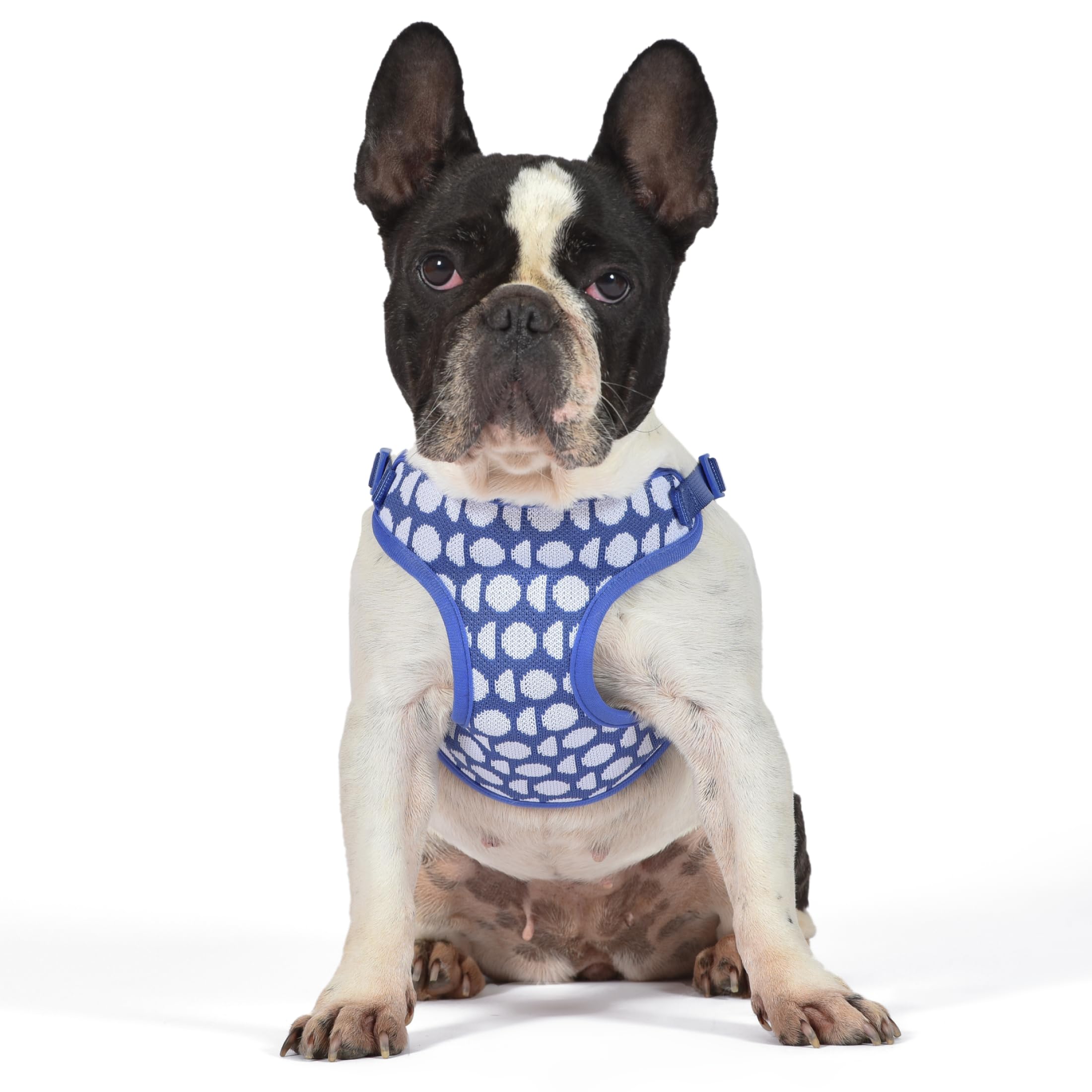 The Dodo Dog Harness, Blue Dodo Print, Size Small: Easy Step-in Harness for Dogs; Breathable Mesh Fabric; Snap-Together, Pinch R