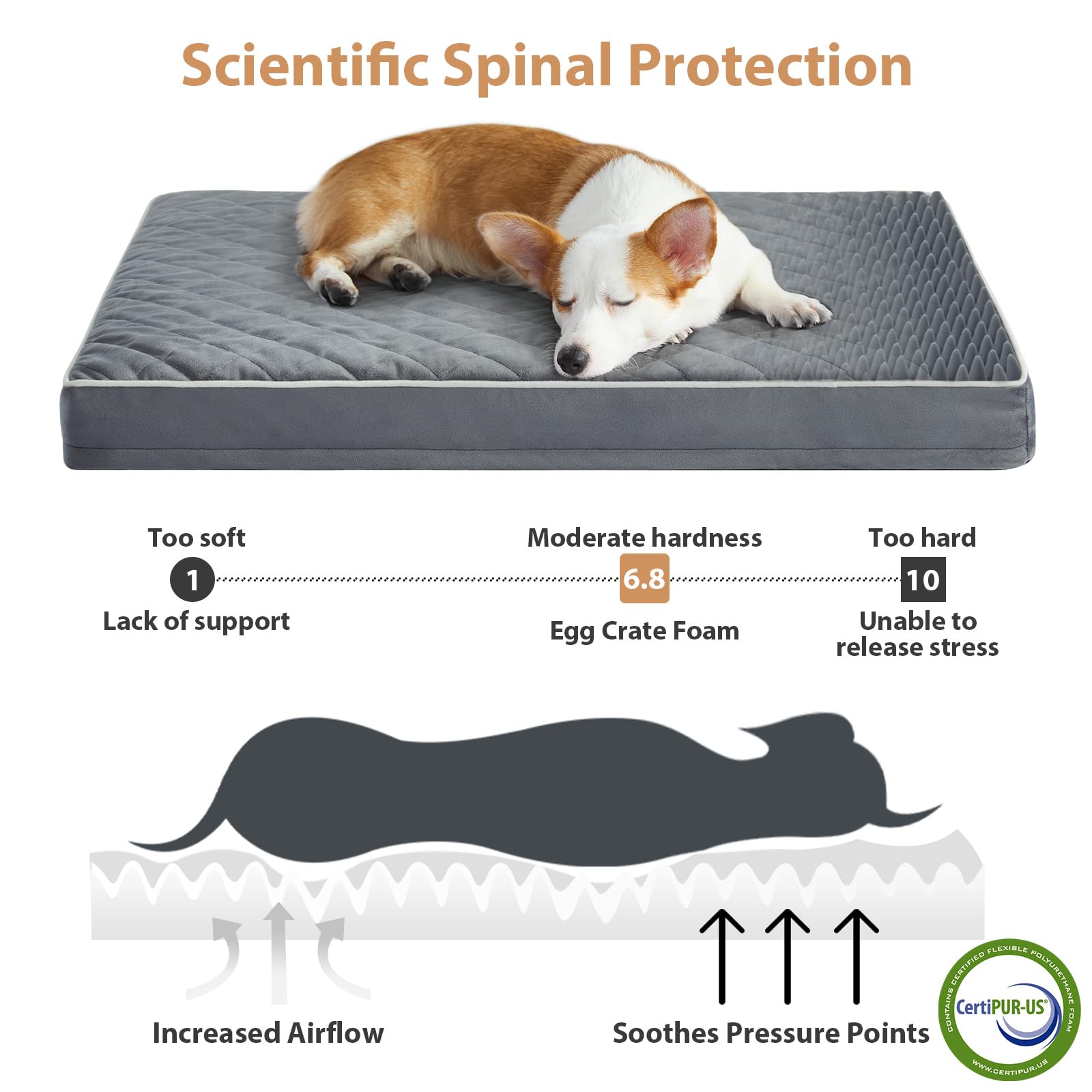 WNPETHOME Orthopedic Dog Bed - Medium Size (30x20x3), Grey Velvet, Removable Washable Cover, Anti-Slip Bottom, Multi-Needle Quilting