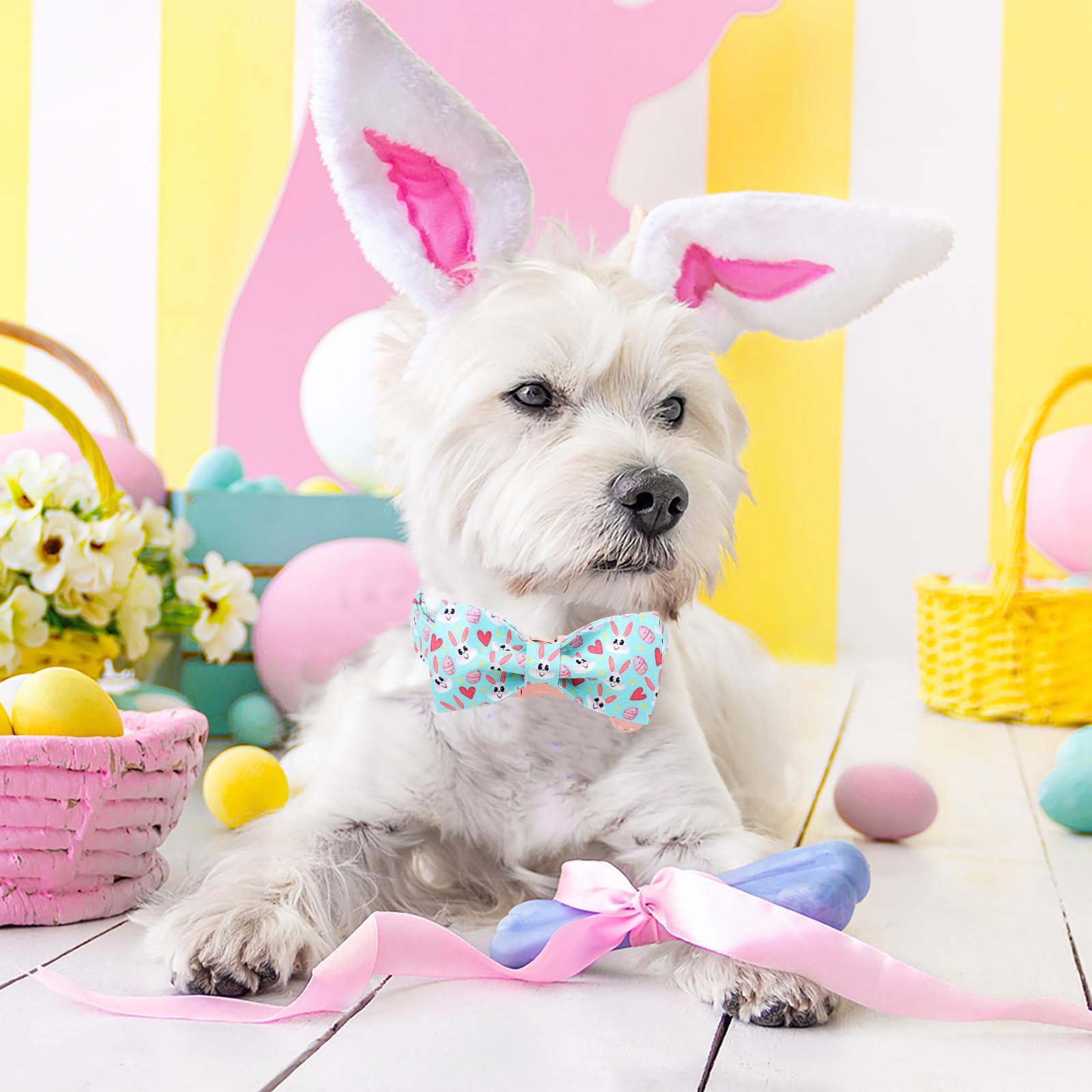 Dogwong Cotton Easter Dog Collar With Bowtie, Soft Adjustable Blue Bunny Easter Day Dog Collar Cute Colorful Egg Puppy Collar Fo