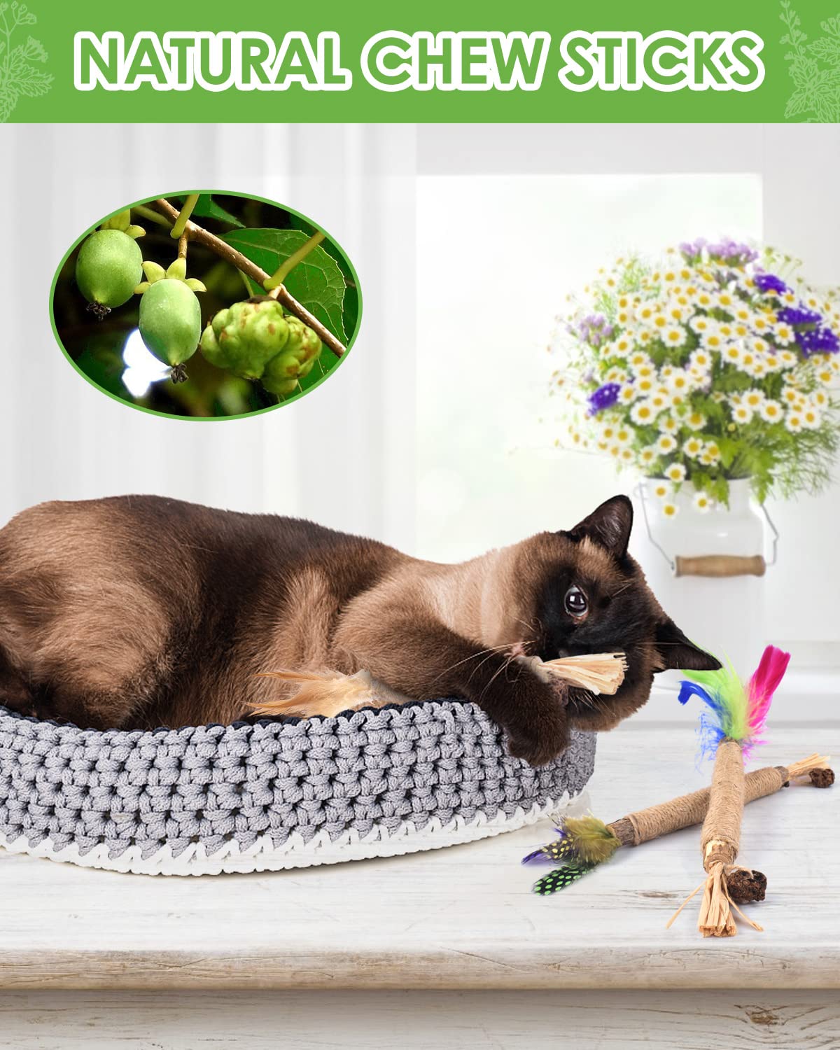 TINDTOP Silvervine Sticks for Cats with Natural Feather, Catnip Chew Toys for Kittens Teeth Cleaning, Matatabi Dental Care, Calm