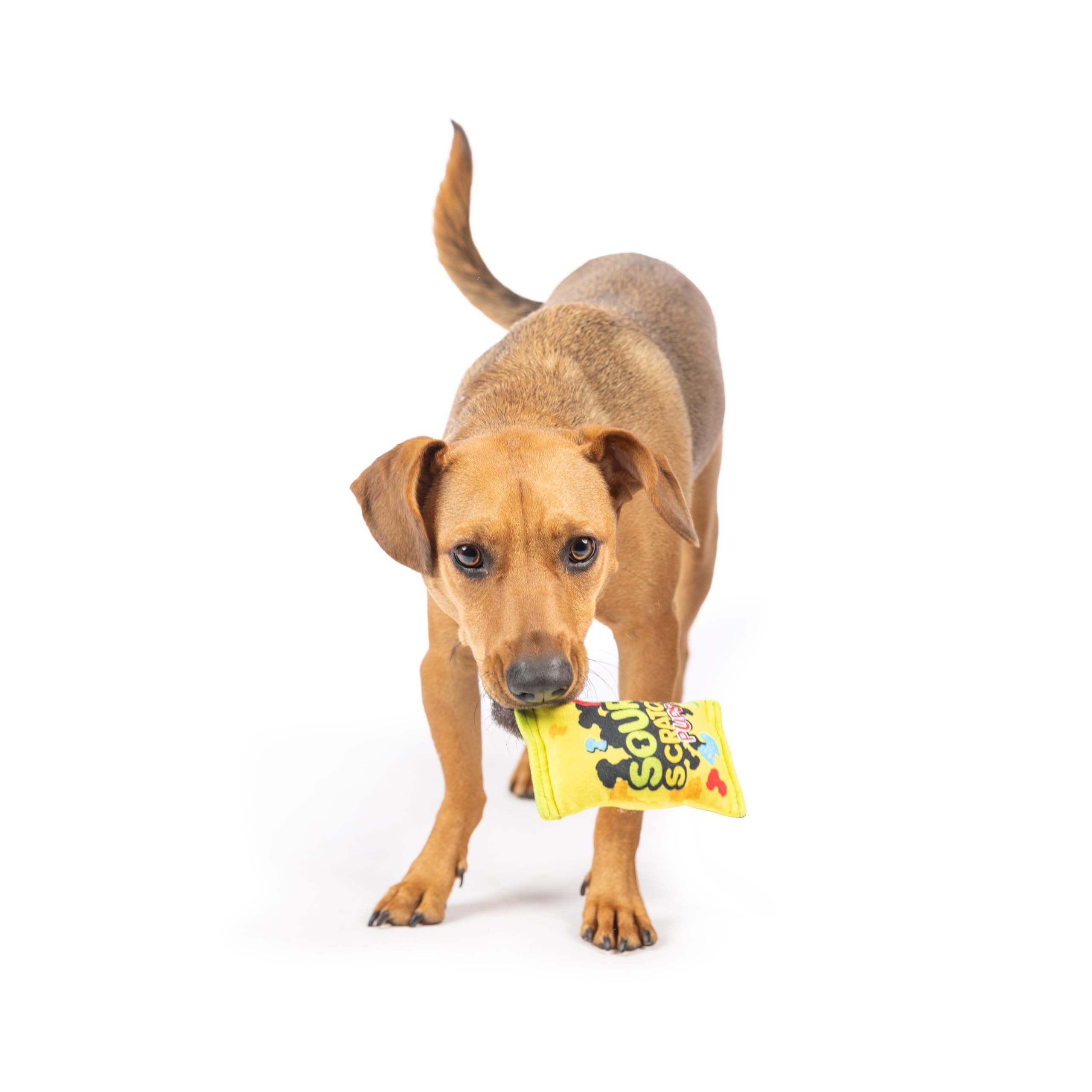 Huxley & Kent H&K Dog Tiny Tuff Sour Scratch