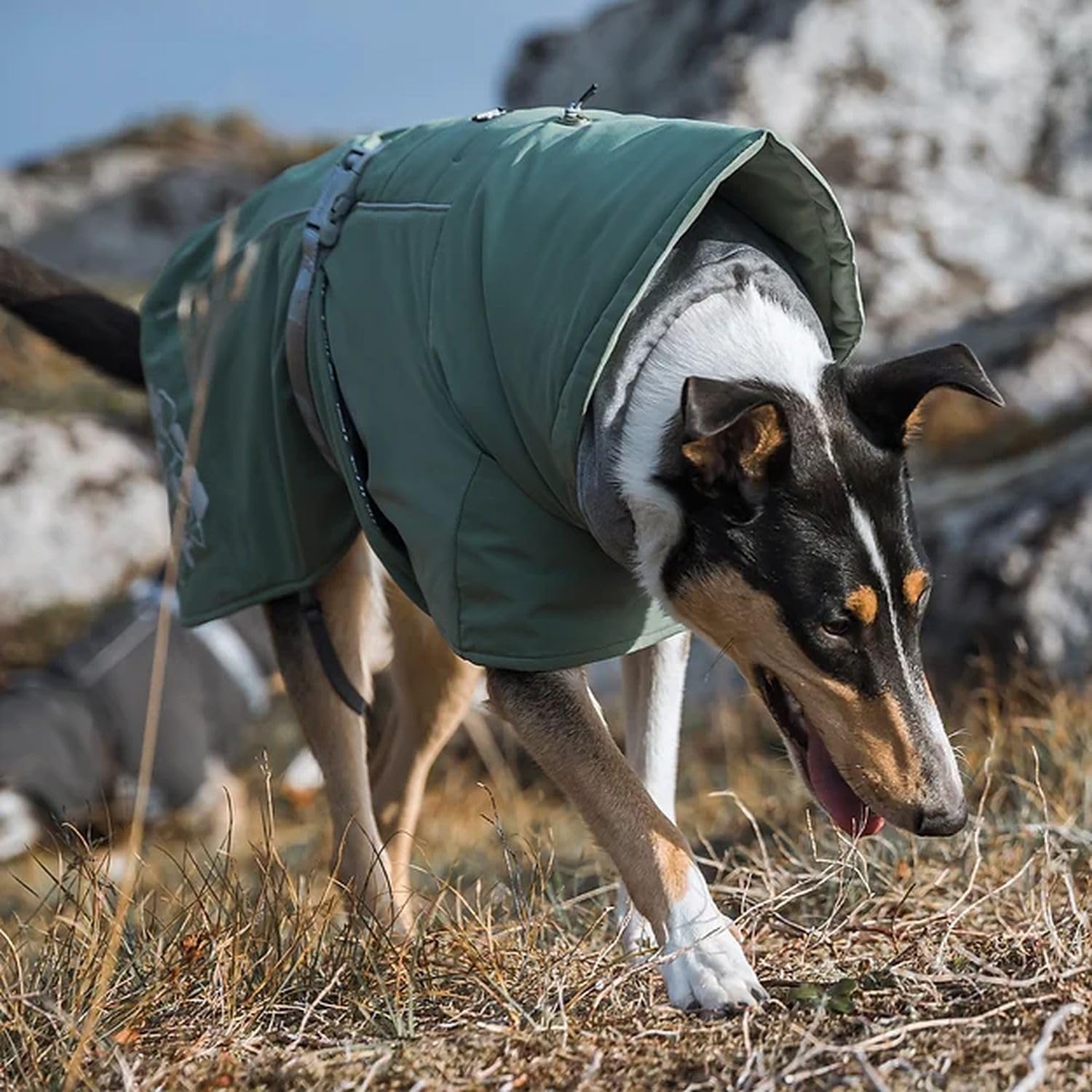 Hurtta Extreme Warmer 2, Winter Dog Coat Eco, Hedge, 18 In
