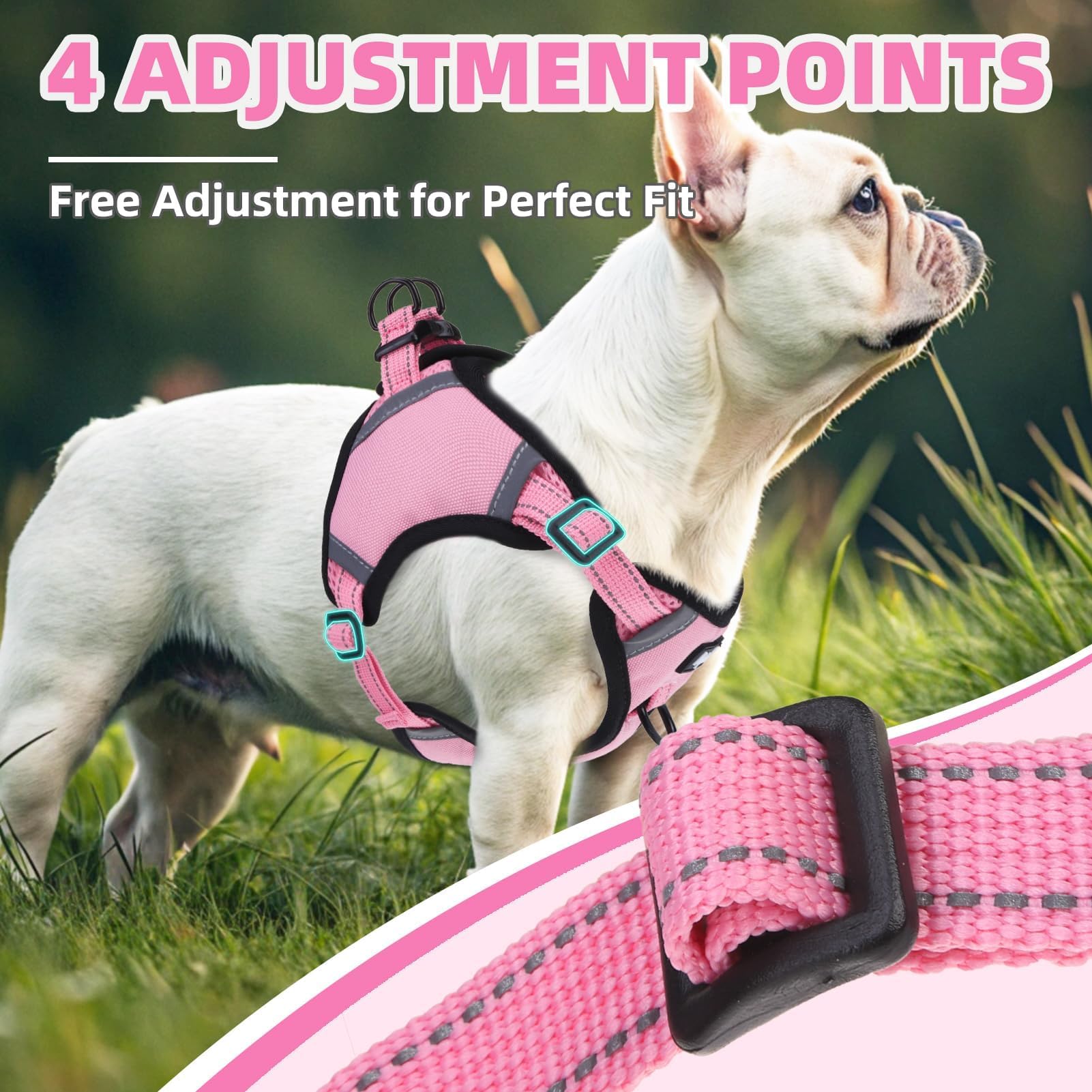 Pupteck No Pull Dog Harness Small Sized Dog, Adjustable Reflective Escape Proof Easy Control, Comfortable Soft Padded Step In Pe