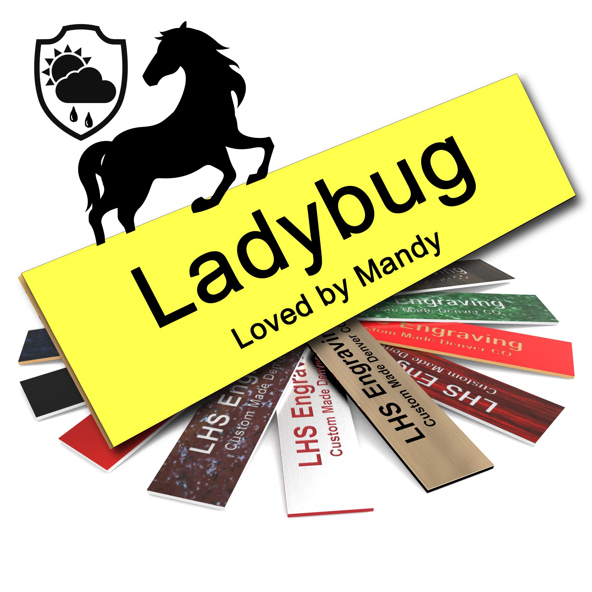 Lhs | Horse Stall Name Plate, 2X12 Personalized Stall Signs, Uv Protected, All Weather Adhesive, Hanging, Mounting Or Other, Yel