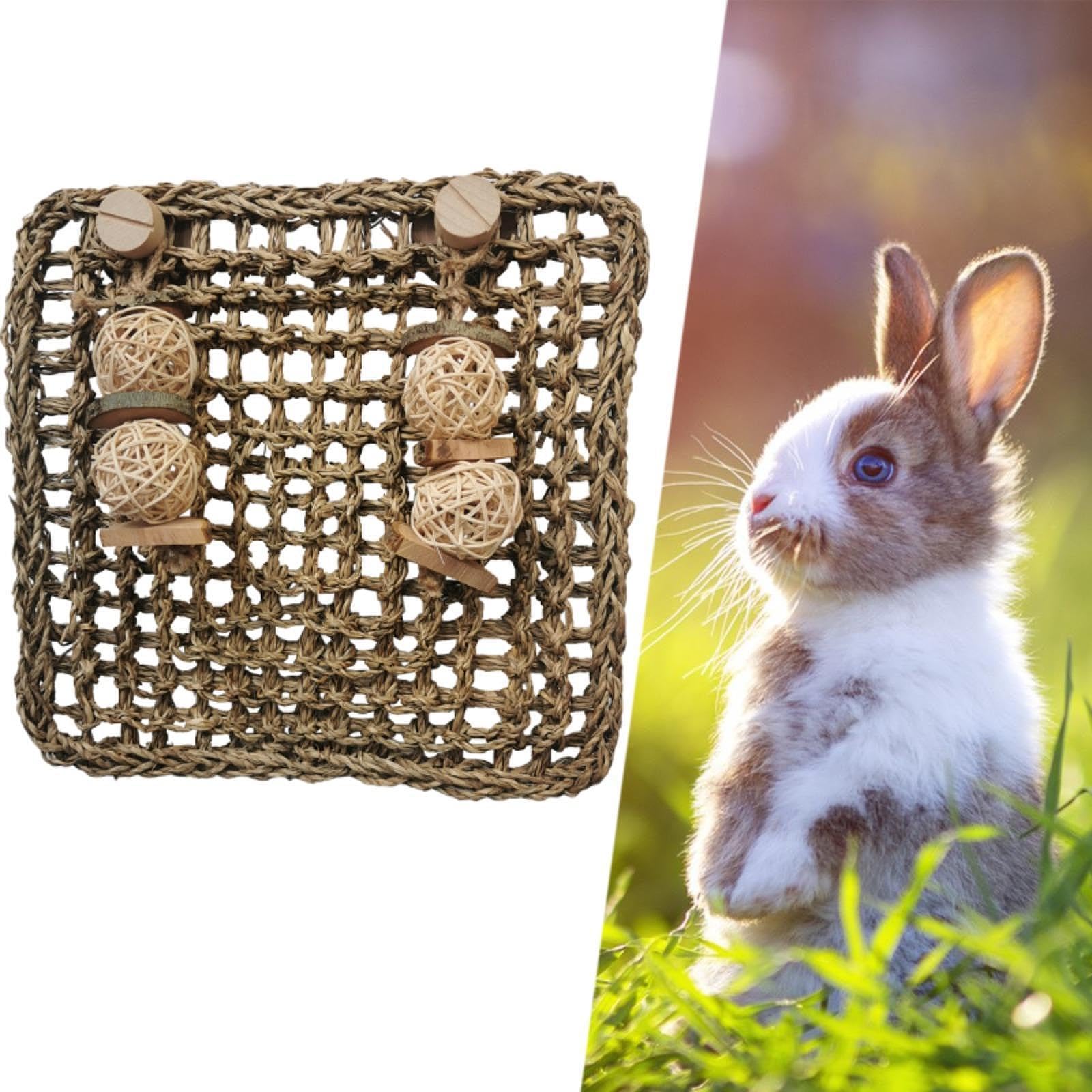Enakshi Bunny Grass Mat Grinding Nesting Woven Bed Mat for Parrot Hamster Chinchilla|Pet Supplies | Small Animal Supplies | Bedd