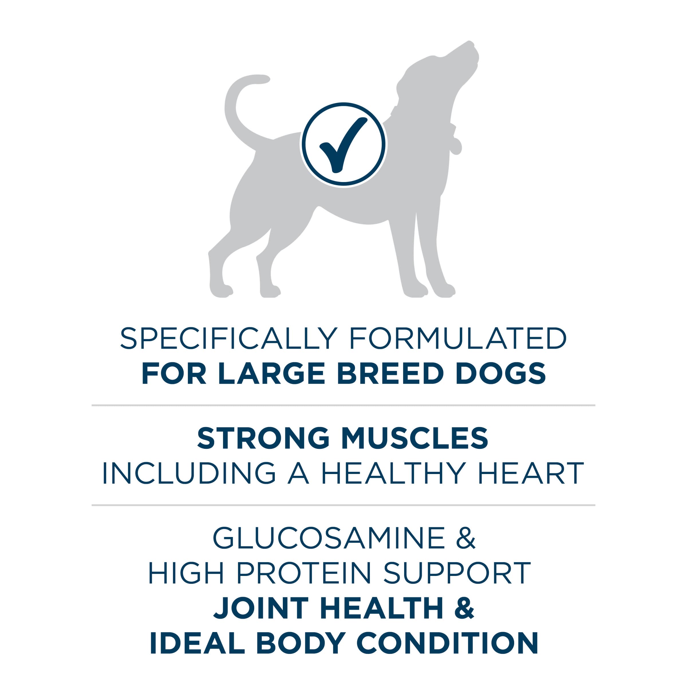 Purina ONE Plus Large Breed Adult Dog Food Dry Formula - 40 lb. Bag