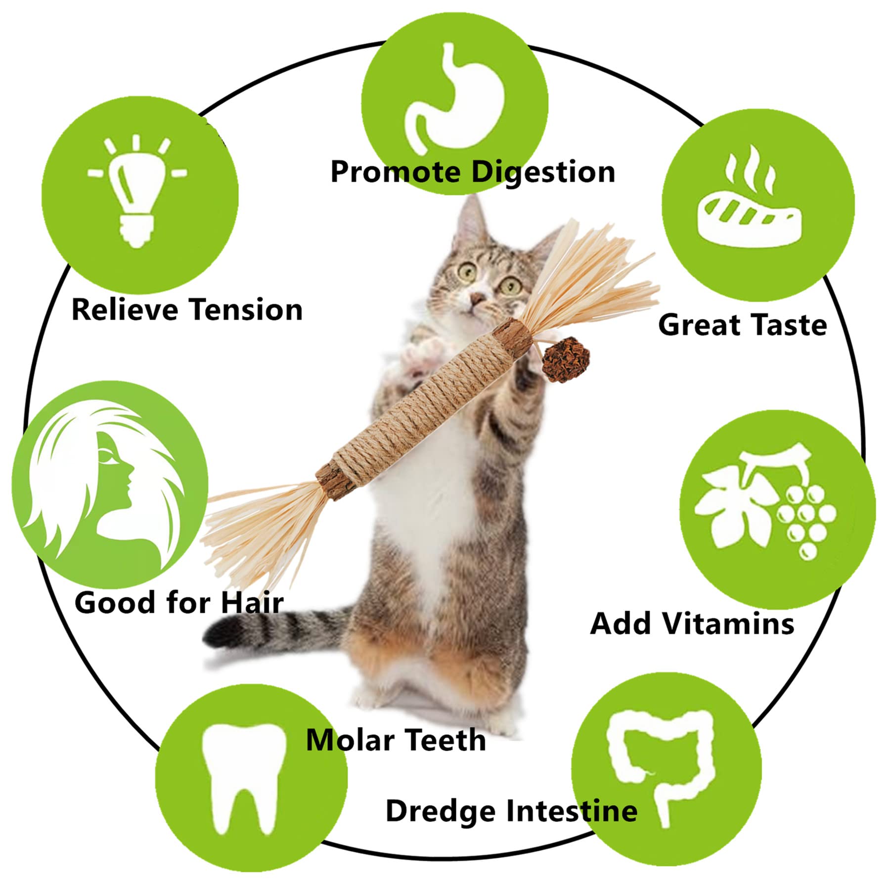 GREMBEB Cat Toys 10Pack Silvervine Chew Stick Kitten Treat Catnip Toy Kitty Natural Stuff Catnip for Cleaning Teeth Indoor Denta