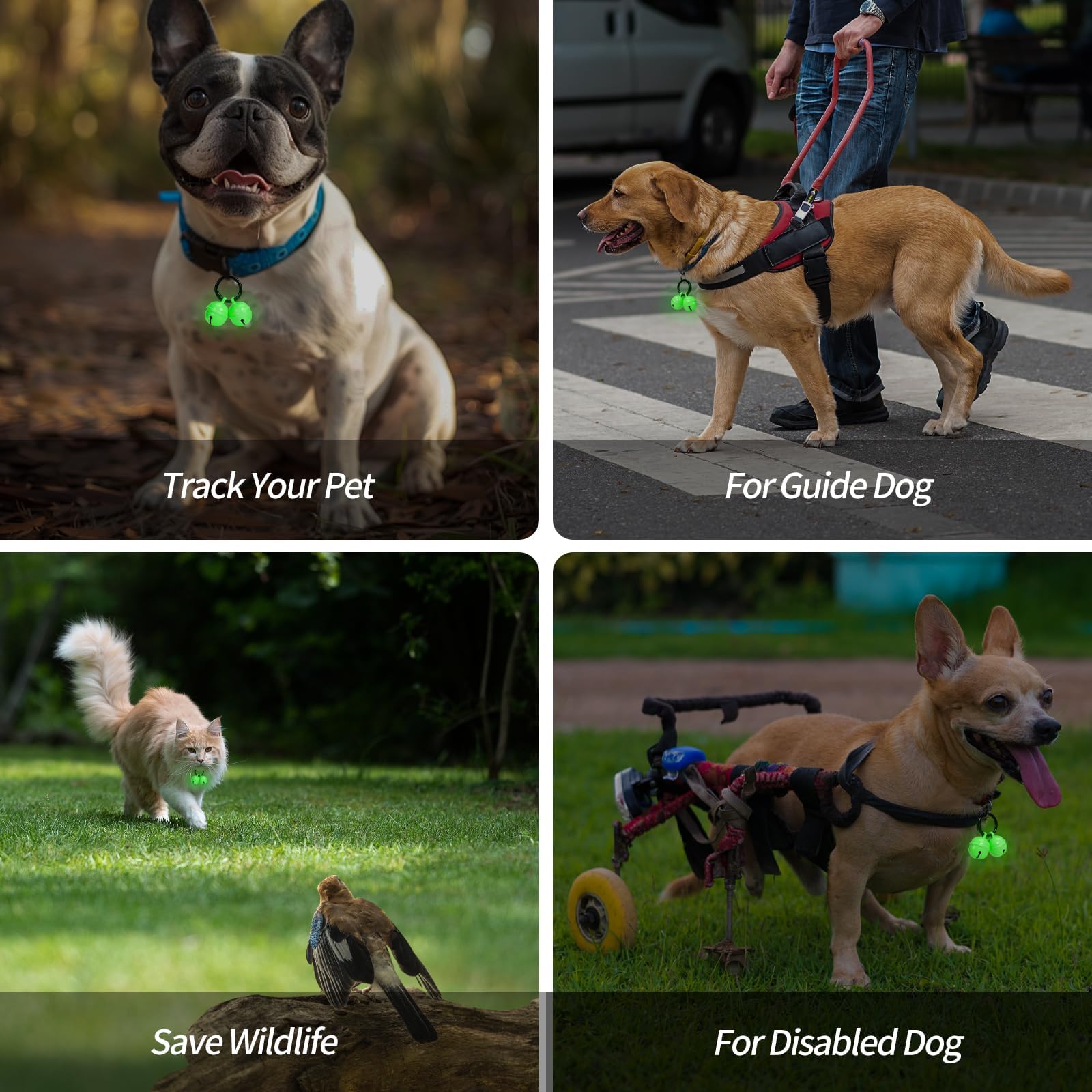 Whimsii Glow Bells for Dog Collar - Extra Loud Copper Bell for Medium to Large Dogs, Easy Clip Clasp, One Size, Small-Medium Breed