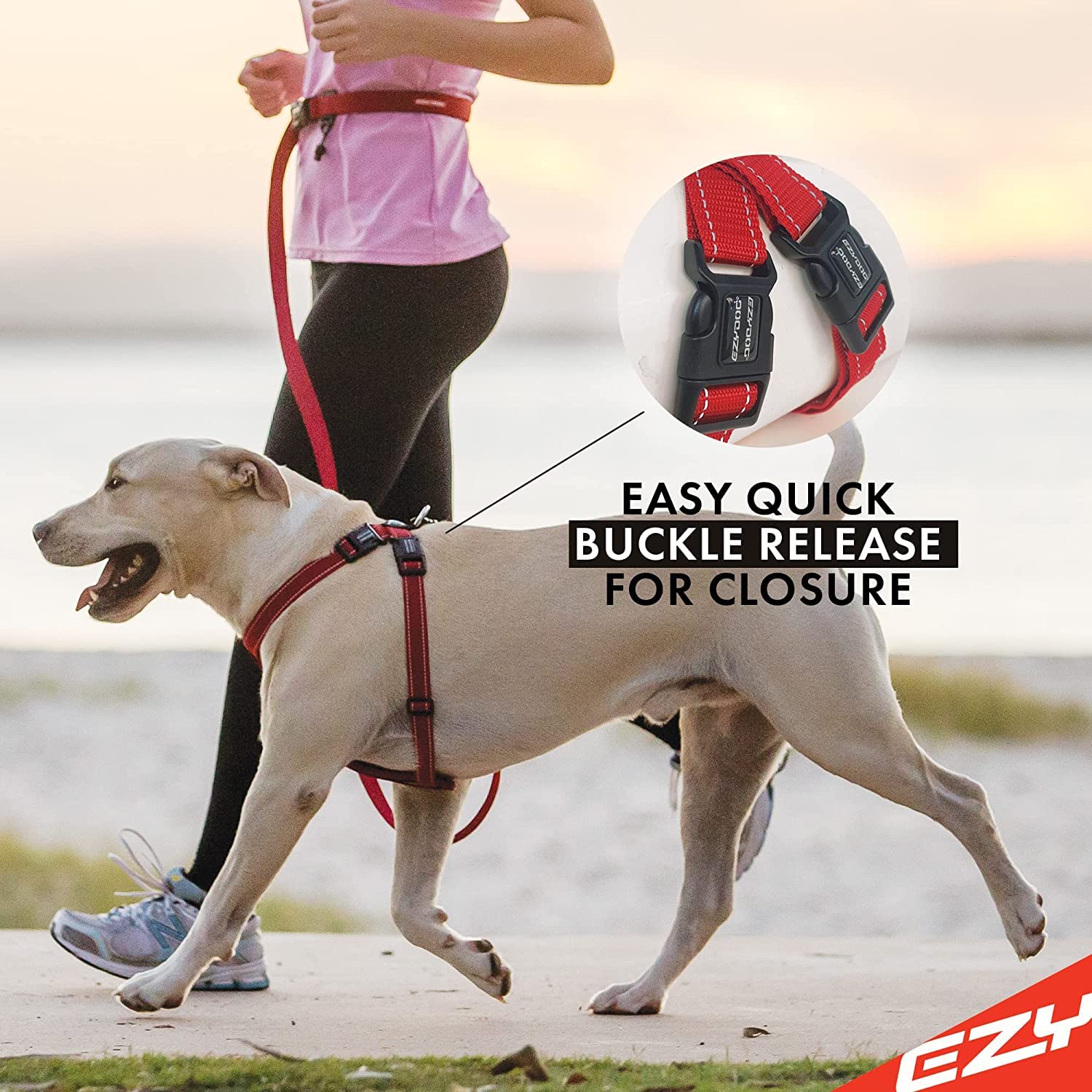 Ezydog Premium Chest Plate Custom Fit Reflective No-Pull Padded Comfort Dog Harness - Perfect For Training, Walking, And Control - Includes Car Restraint Attachment (X-Large, Black)