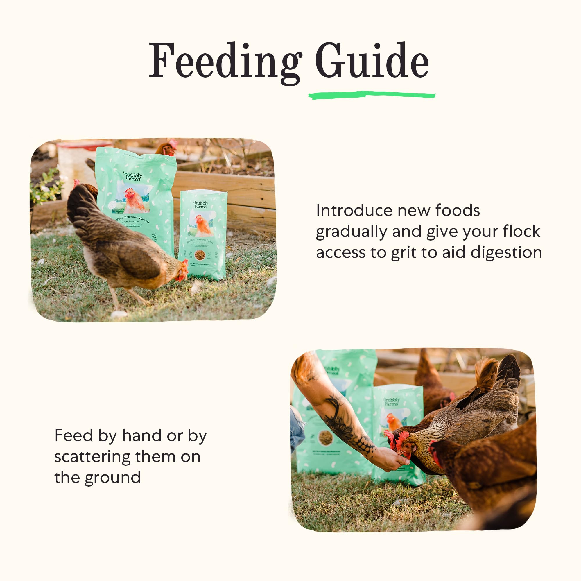 Grubblies - Black Soldier Fly Larvae for Chickens - Chicken Treats Grown in The US and Canada - for Strong Eggshells and Healthy