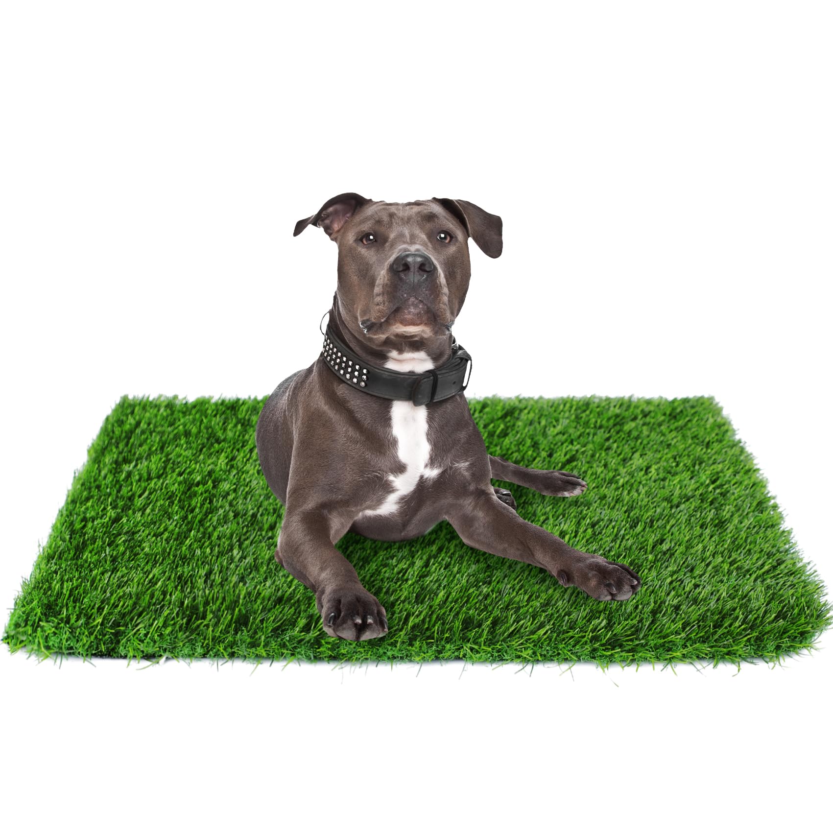 Globreen Artificial Grass For Dogs To Pee On, 39.4' X 31.5' Puppy Turf Potty Training Tray, Thick & High Drainage Pets Fake Grass