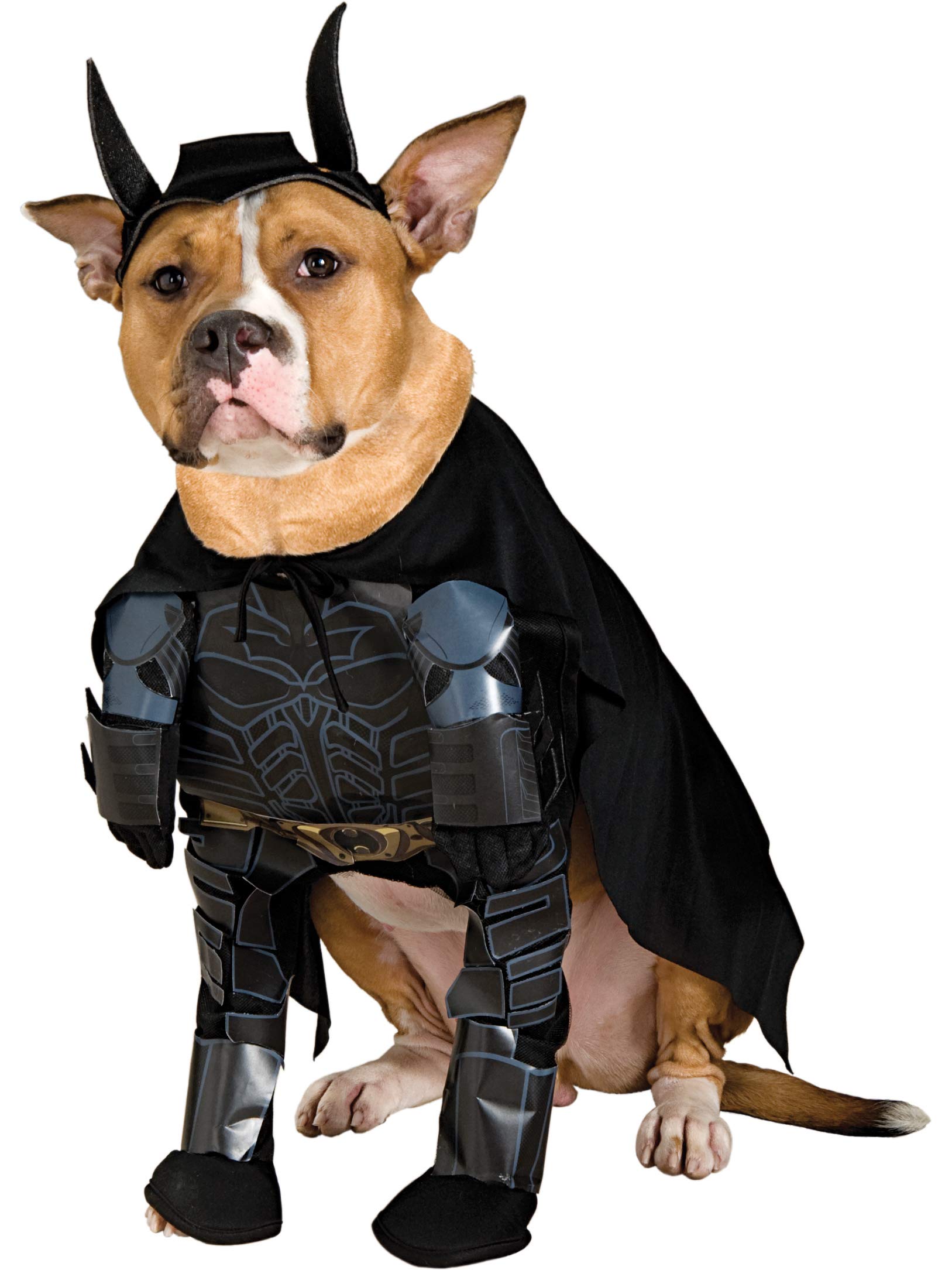 Rubies DC Comics Batman The Dark Knight Rises Pet Costume, Large