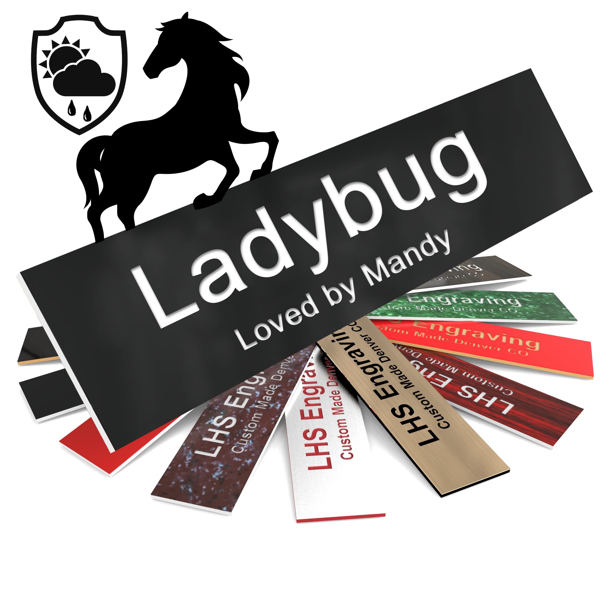Lhs | Personalized Horse Stall Name Plates, 2X10 Horse Stall Signs With Adhesive, All Weather Uv Protected, Black Plastic White 