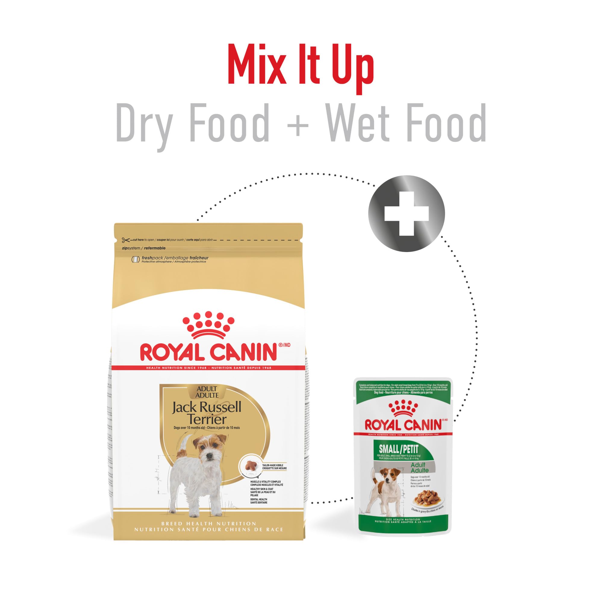 Royal Canin Breed Health Nutrition Jack Russell Terrier Adult Dry Dog Food, 10 lb Bag