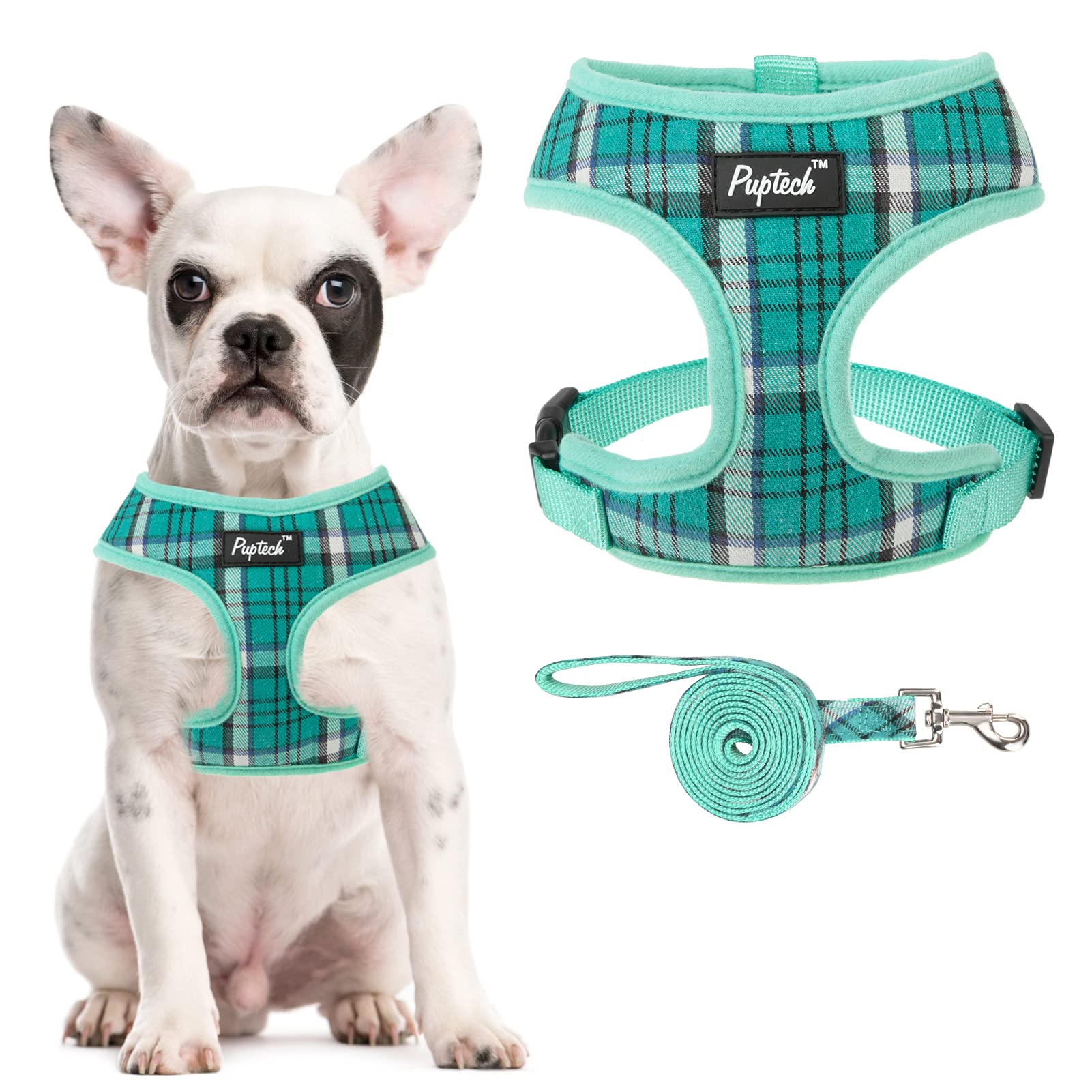 Pupteck Soft Mesh Dog Harness And Leash Set Pet Puppy Cat Comfort Padded Vest No Pull Harnesses, Green, M