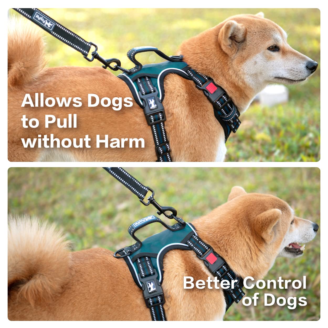 Poypet No Pull Dog Harness, No Choke Front Clip Reflective Dog Vest With Soft Padded Vertical Handle, 3 Leash Attachments For Small Medium Large Dogs (Tumalo Teal,M)