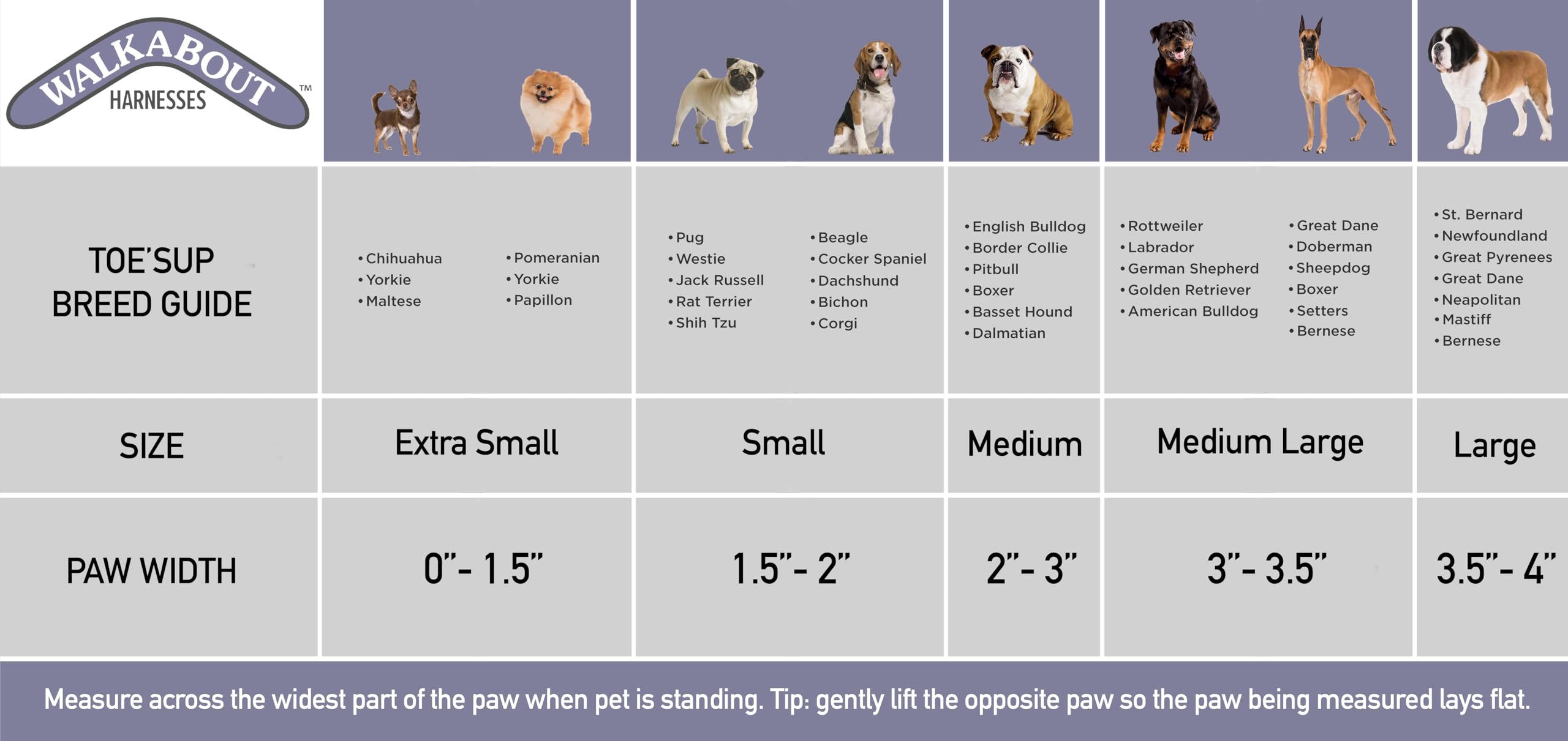 Walkabout Toe'Sup No Knuckling Boot Brace For Dogs Dragging Paws | Corrective Dog Shoes To Safely Lift Toes