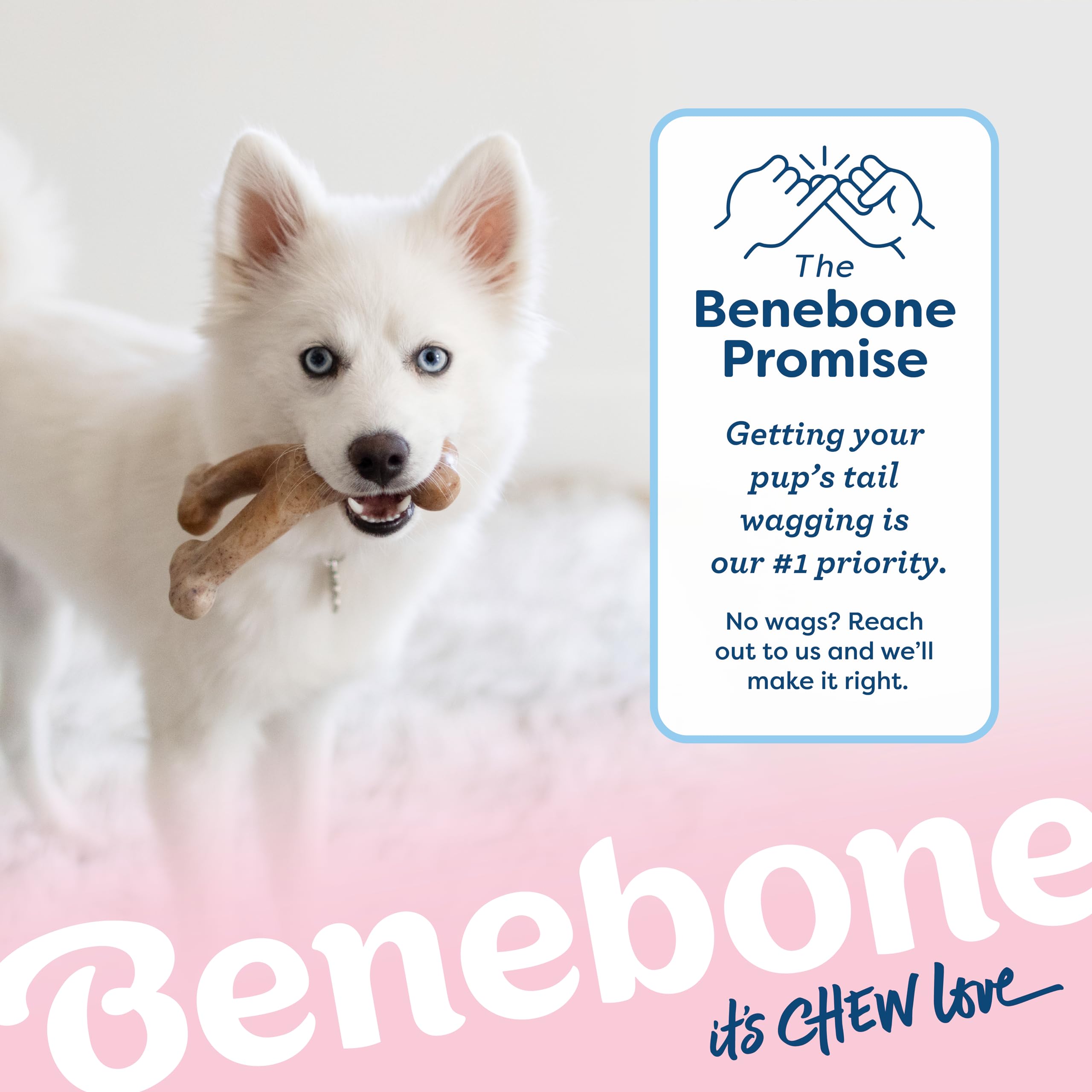 Benebone Puppy Wishbone Durable Dog Chew Toy For Gentle Chewers, Real Bacon, Made In Usa, Medium