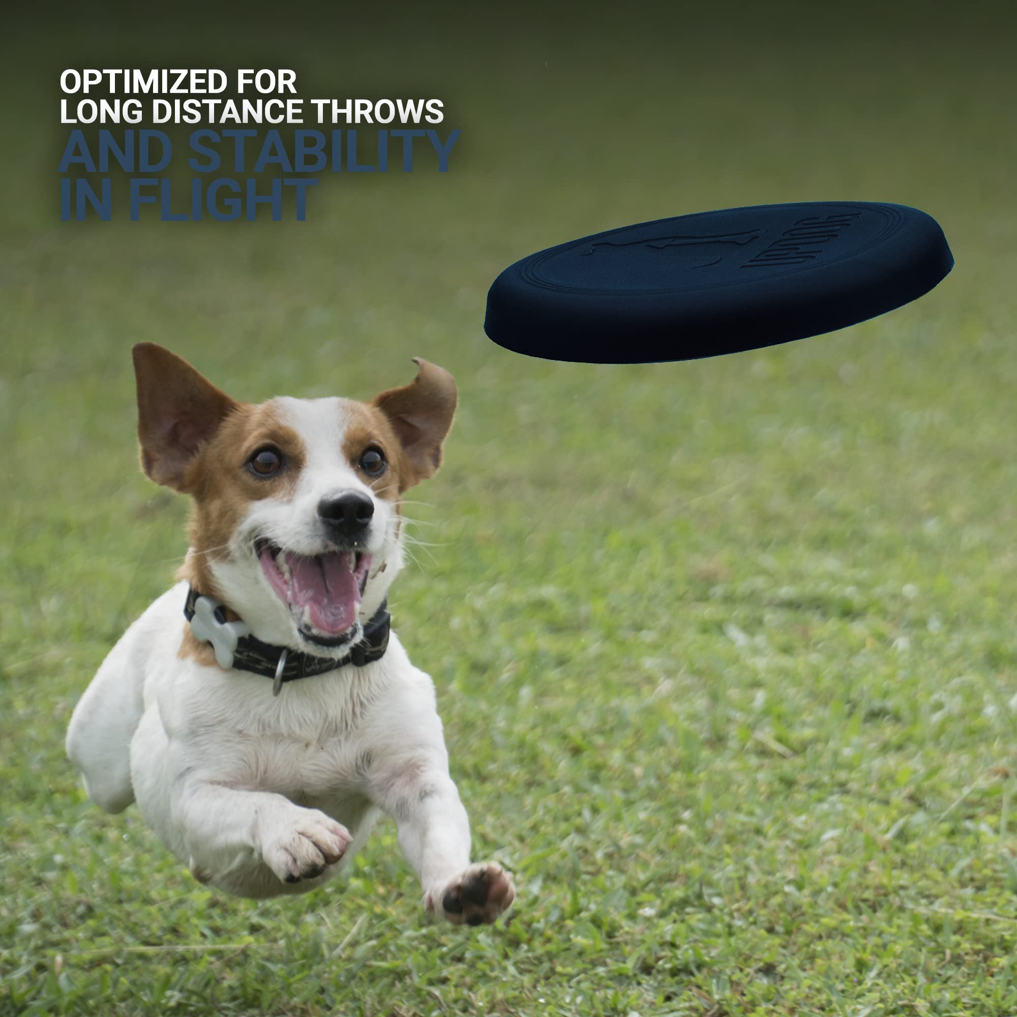 Updog Products 6-Inch Dog Frisbee Small, Lightweight And Durable Frisbee For Dogs Made In Usa Bright Colored Frisbee Dog Toy (Blue Dark)