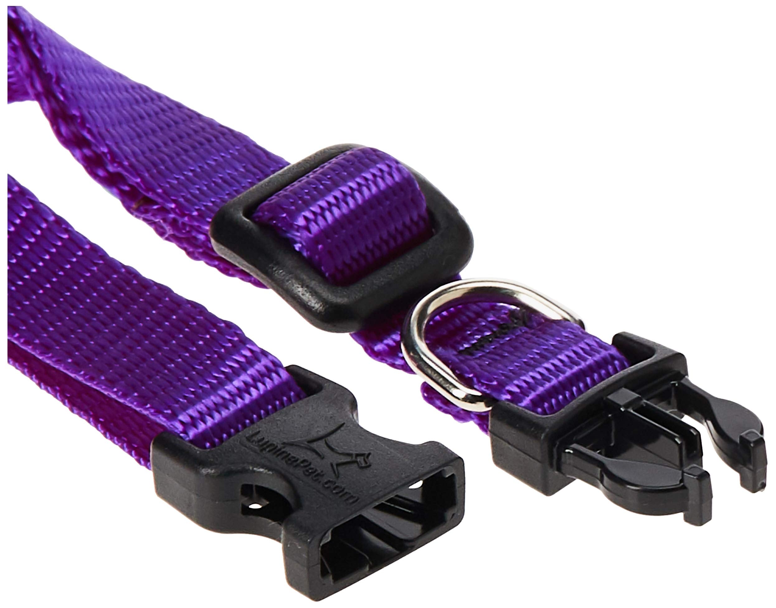 LupinePet Basics 1/2'' Purple 8-12'' Adjustable Collar for Small Dogs