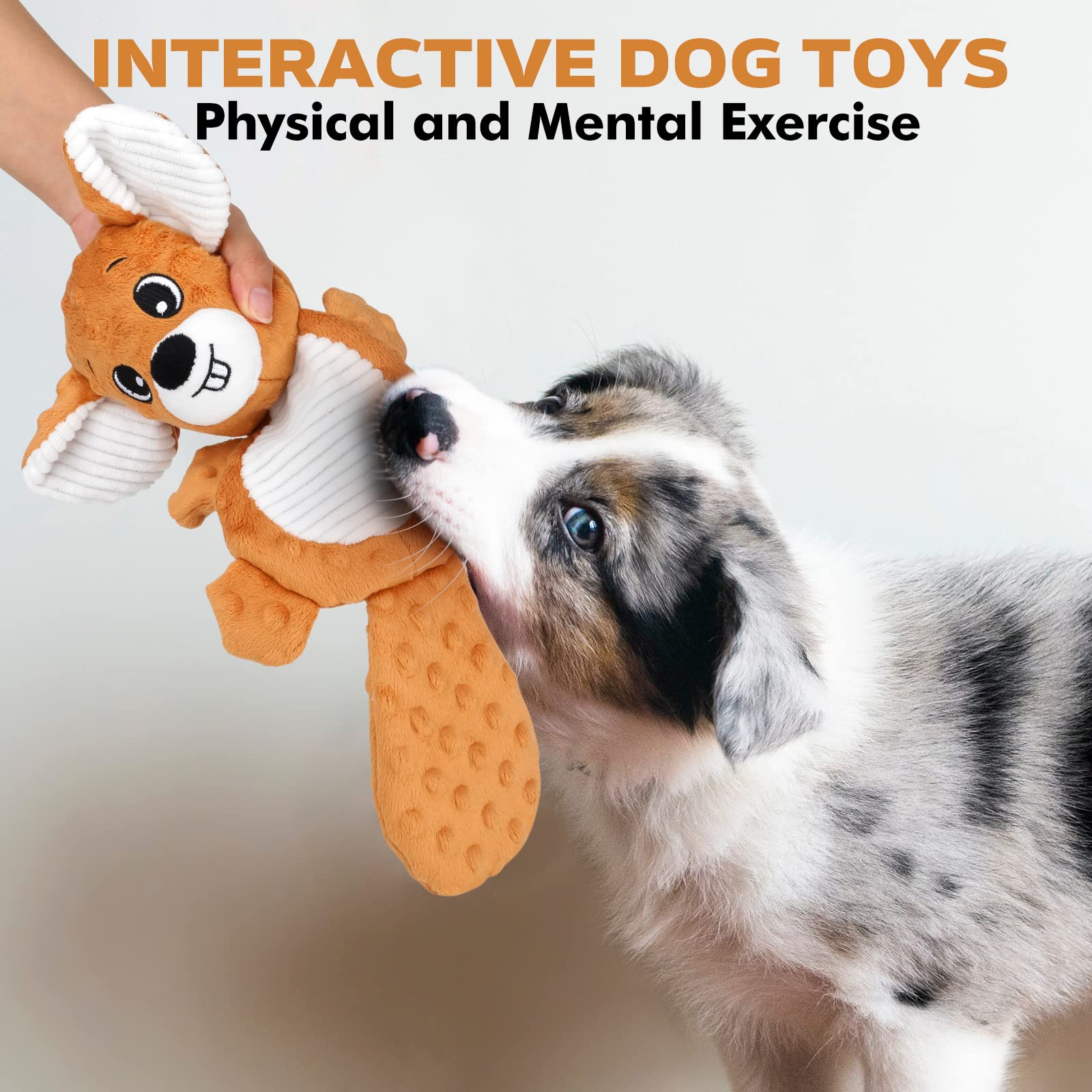 petizer Plush Squeaky Dog Toys, Stuffed and Crinkle Dog Chew Toys, Interactive Toys for Puppies, Small, Medium and Large Dogs, C