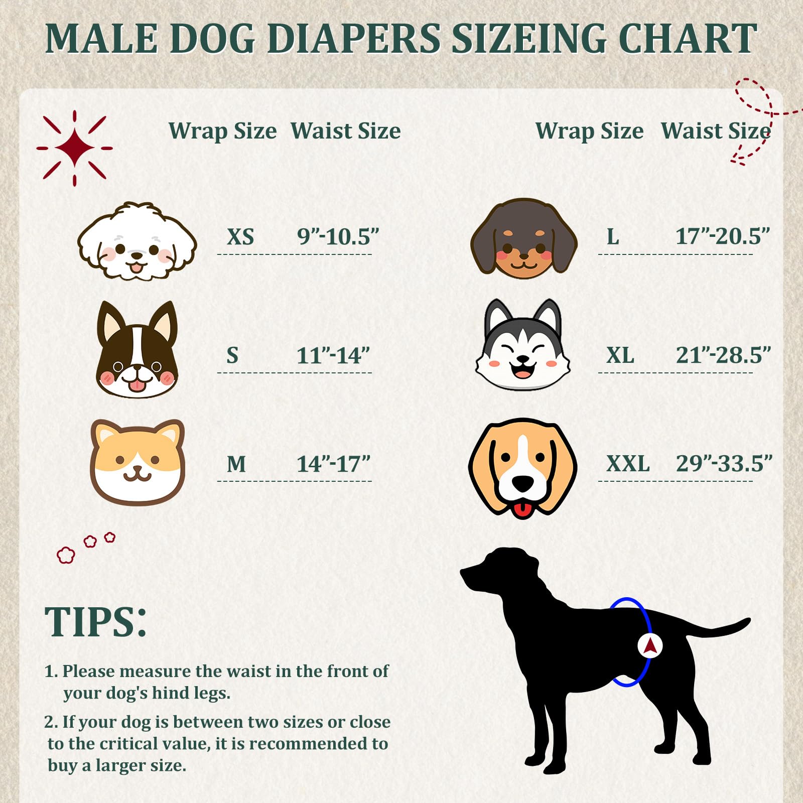 Reusable Dog Diapers Male, Premium Washable Belly Bands For Male Dogs Xxl, Pack Of 5, High Absorbing Male Dog Wraps For Doggie &